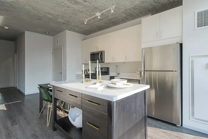 717 S Clark St   60605 60605-unit#1516-Chicago-IL