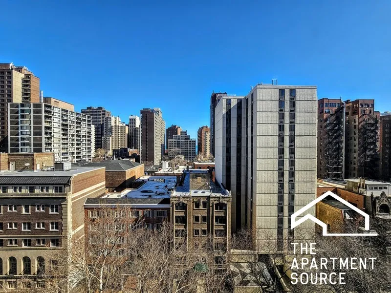 1344 N Dearborn St   60610 60610-unit#11F-Chicago-IL
