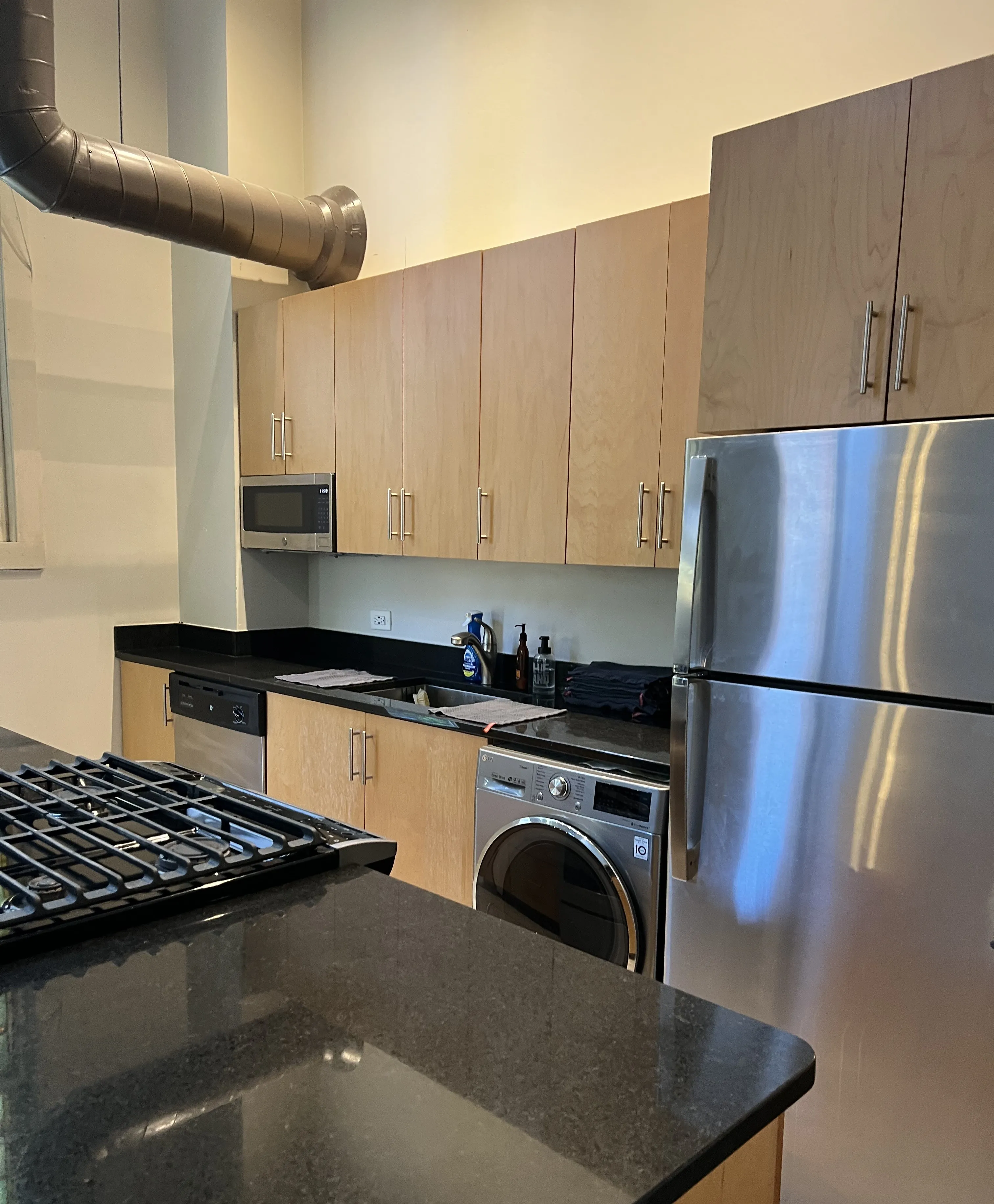 701 W Buckingham Pl 60657 60657- Buckingham Pews-unit#209-Chicago-IL
