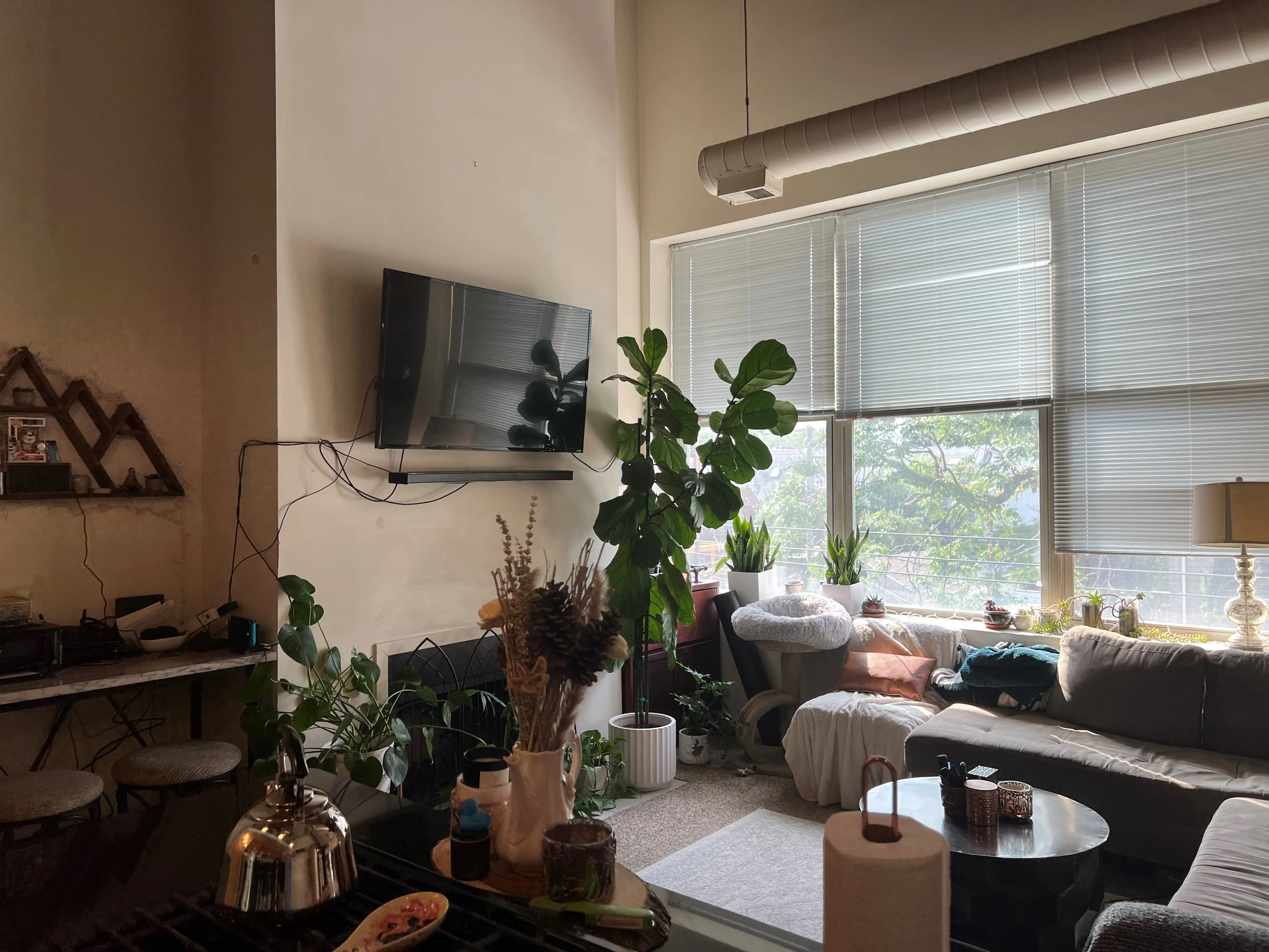 3159 N Seminary Ave 60657 60657-Seminary Lofts-unit#302-Chicago-IL