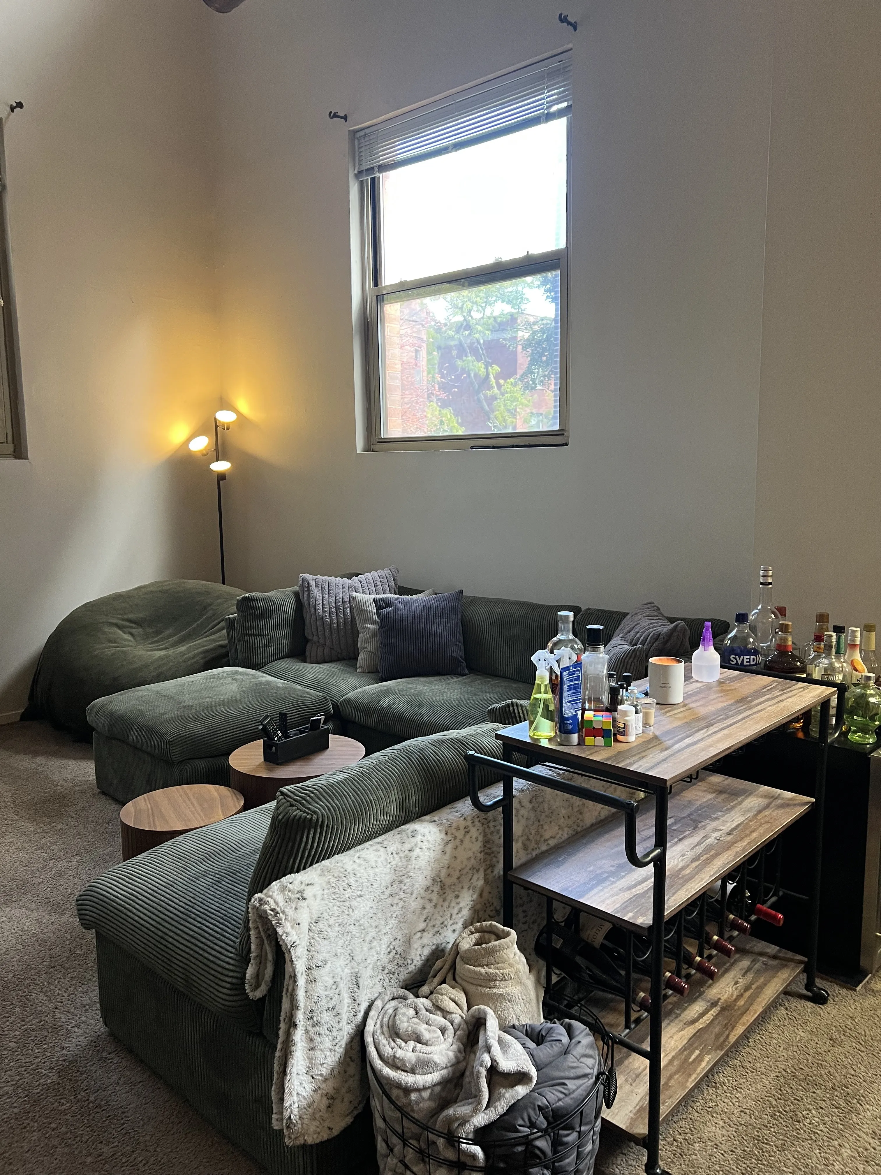 701 W Buckingham Pl 60657 60657- Buckingham Pews-unit#209-Chicago-IL