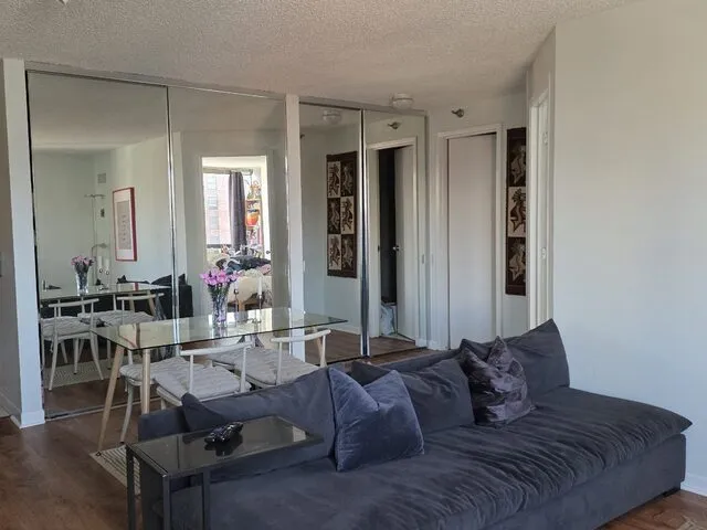 1122 N Clark St   60610 60610-unit#1005-Chicago-IL