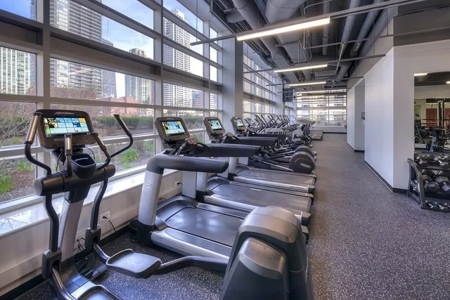 545 N Dearborn Pkwy   60654 60654-Grand Plaza-unit#3008-Chicago-IL
