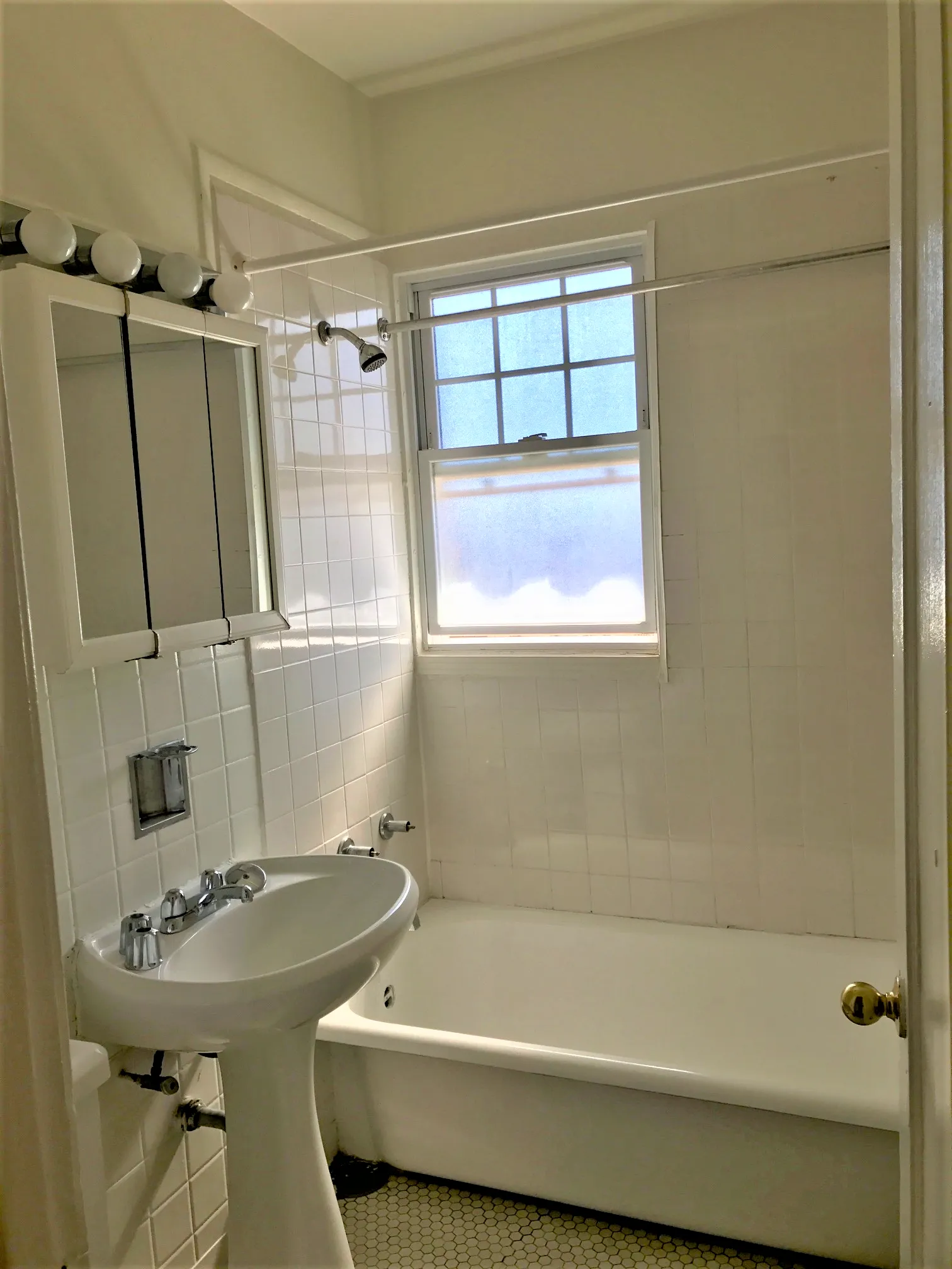 1606 W Albion Ave 60626 60626-unit#1S-Chicago-IL