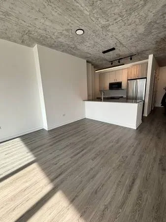 460 W Ave 60610 60610-unit#1403-Chicago-IL