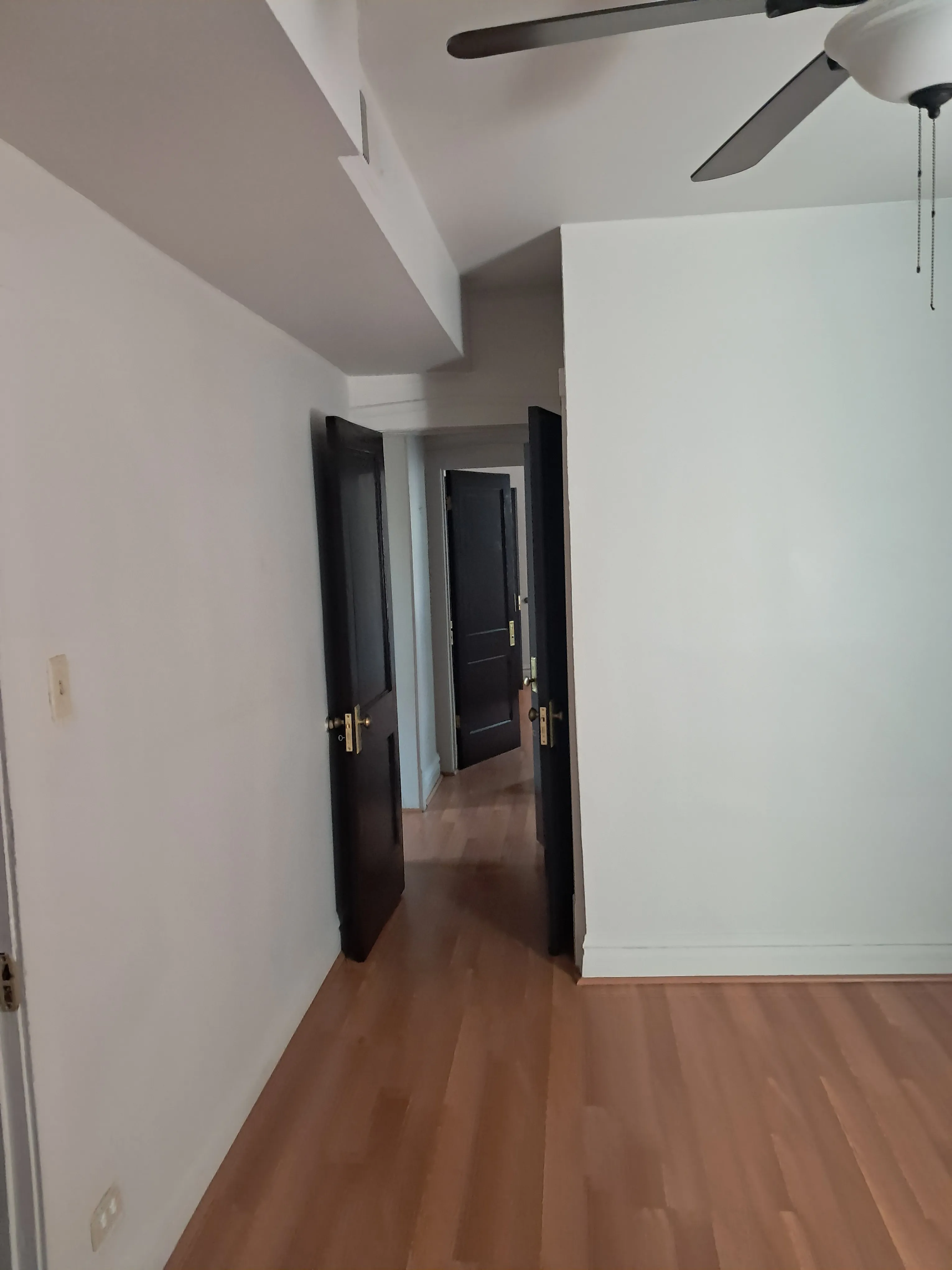 3057 N Sawyer Ave 60618 60618-unit#2-Chicago-IL