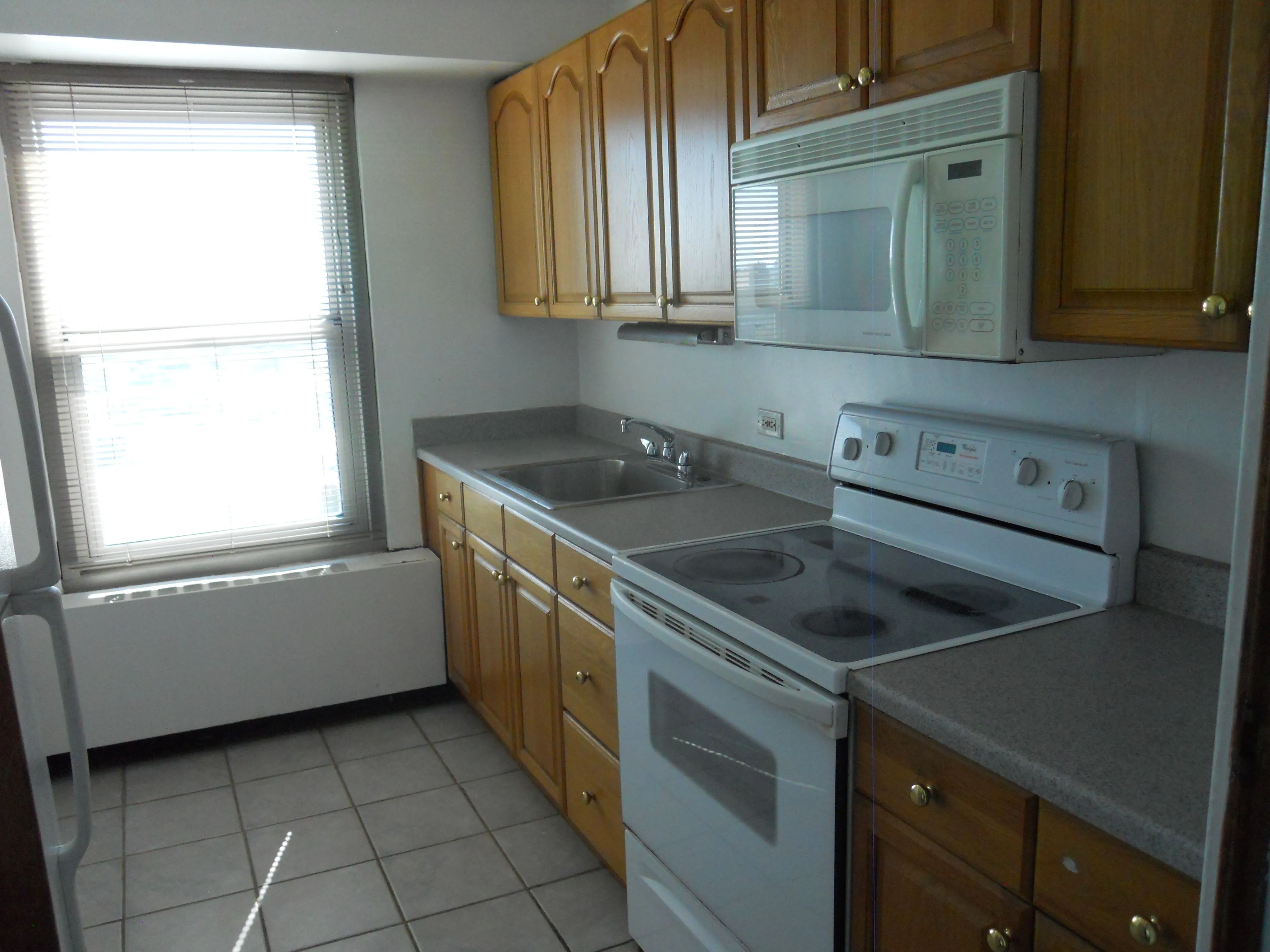 3600 N Lake Shore Dr   60613 60613-unit#1525-Chicago-IL
