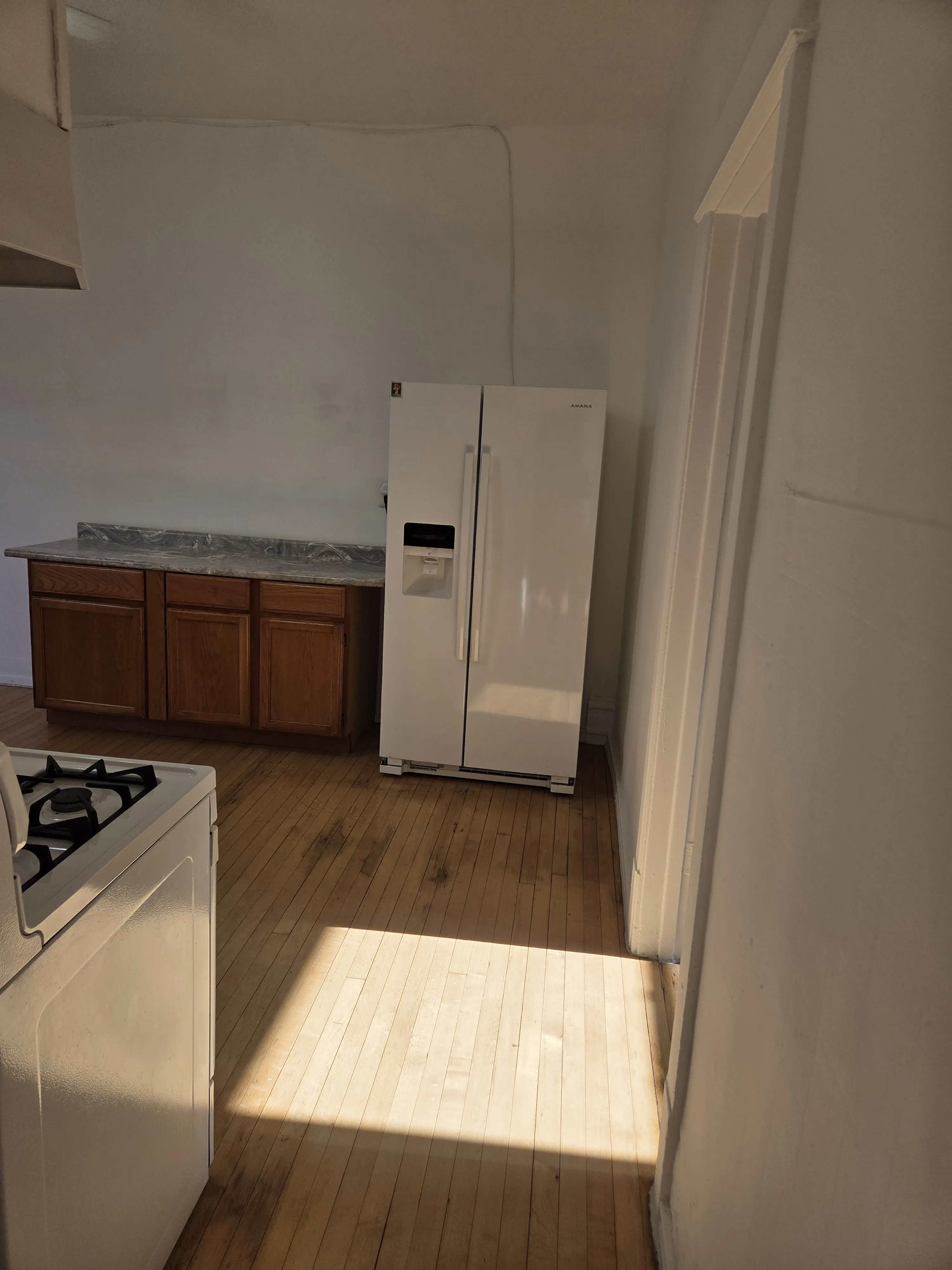 3105 W Augusta Blvd 60622 60622-unit#2-Chicago-IL
