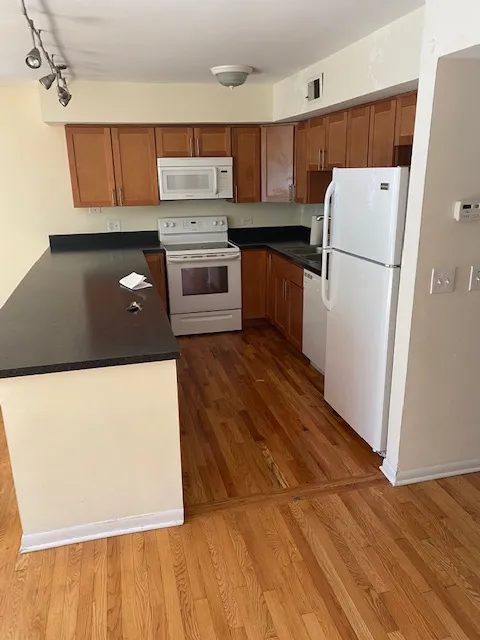 323 W Concord Pl   60614 60614-unit#5-Chicago-IL