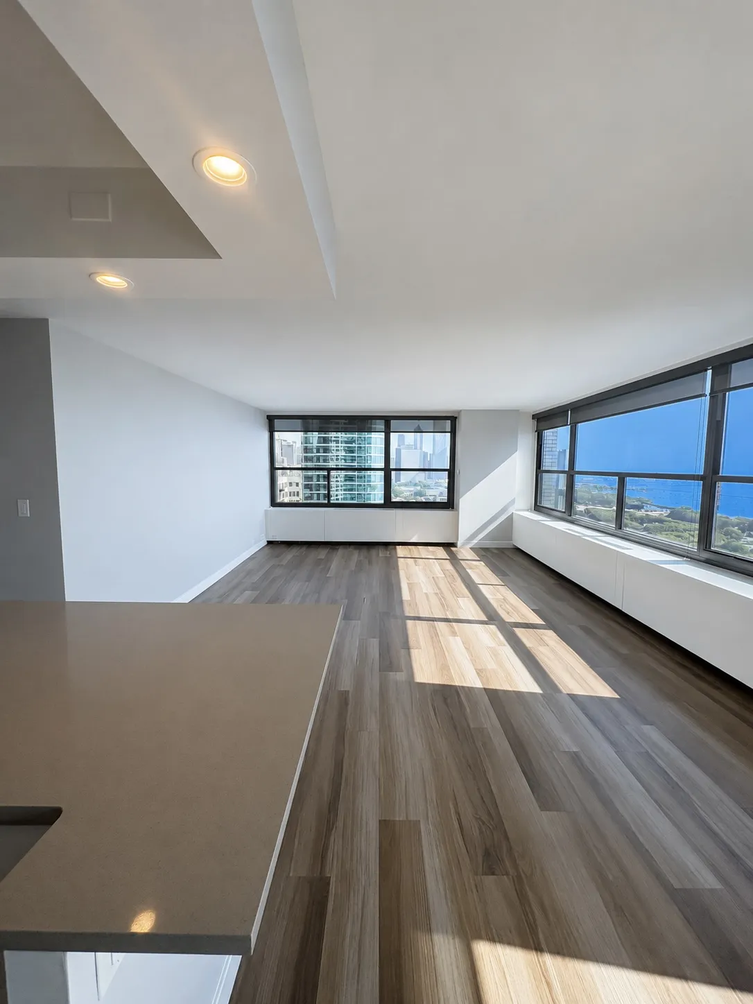 1130 S Michigan Ave 60605 60605-unit#311-Chicago-IL