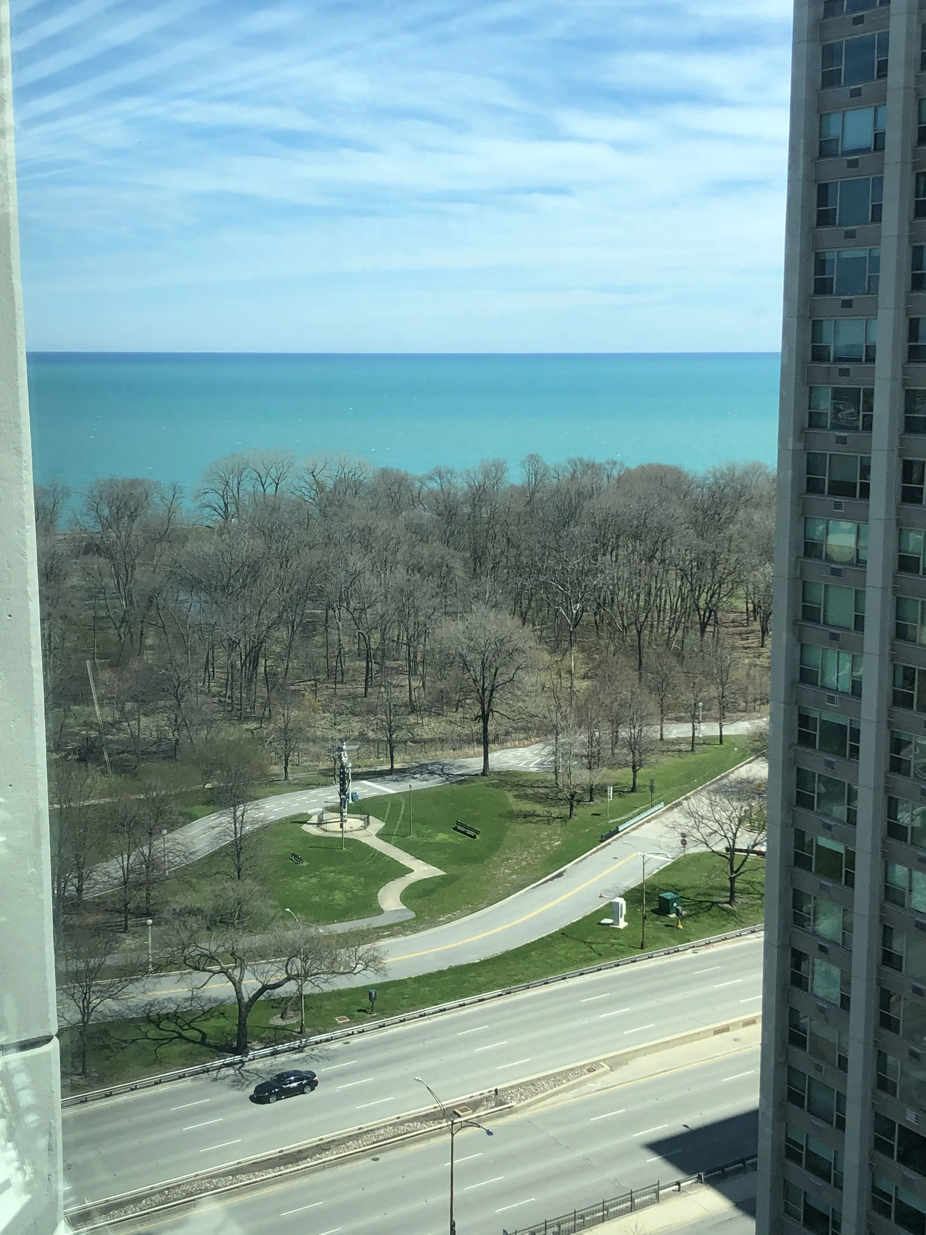 3600 N Lake Shore Dr   60613 60613-unit#1525-Chicago-IL