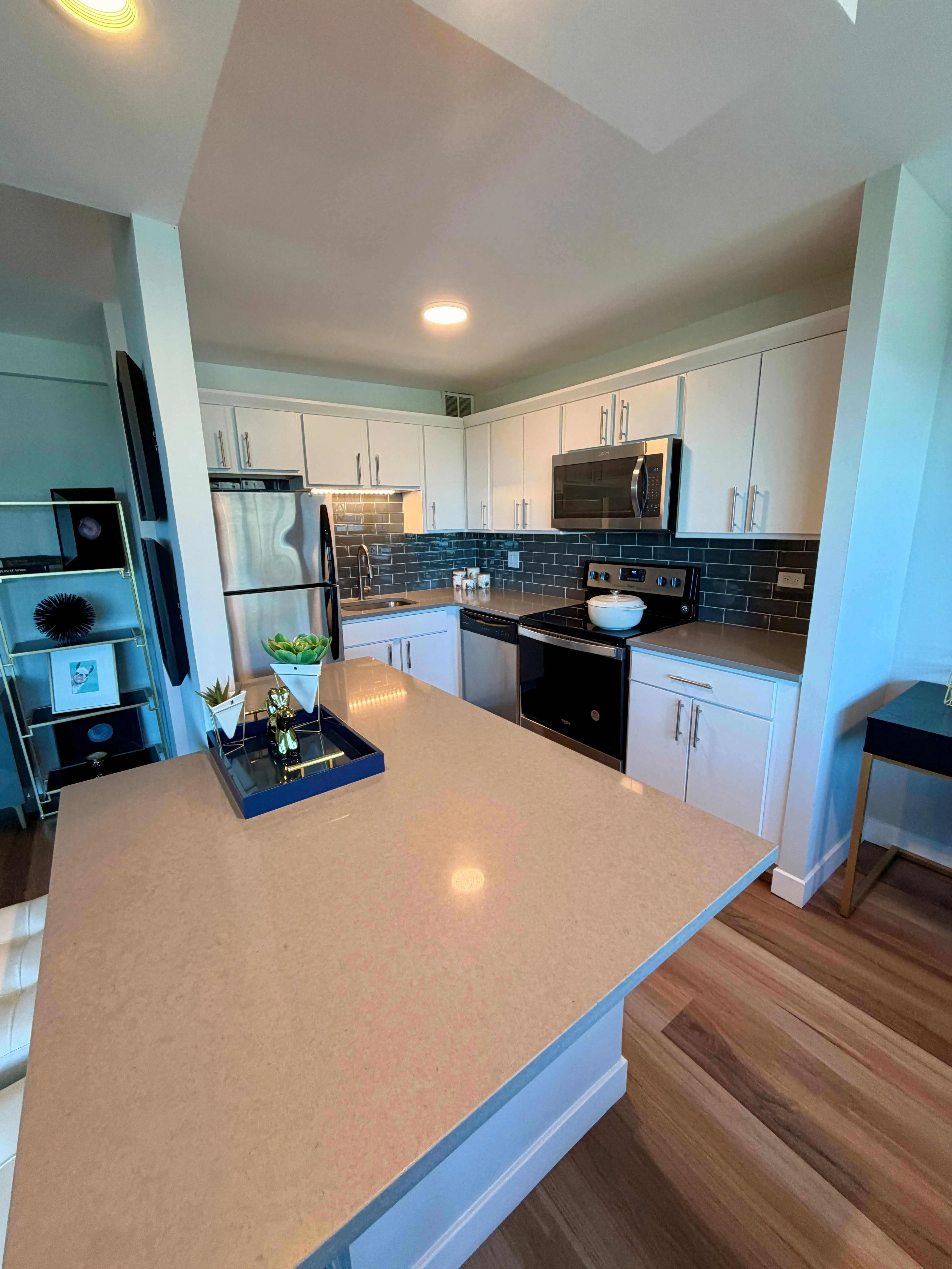 1130 N Dearborn St 60610 60610-unit#3004-Chicago-IL