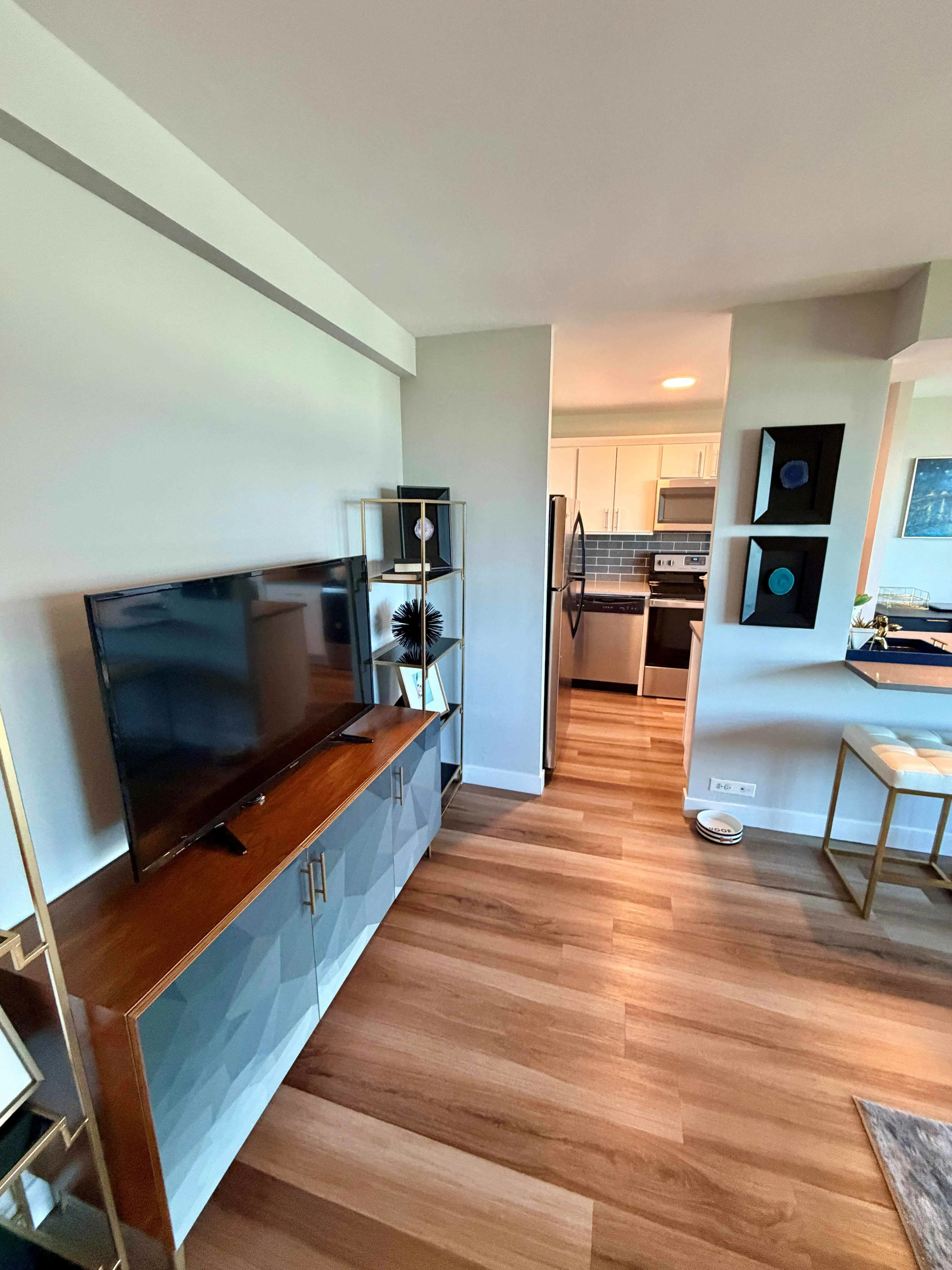 1130 N Dearborn St 60610 60610-unit#3004-Chicago-IL