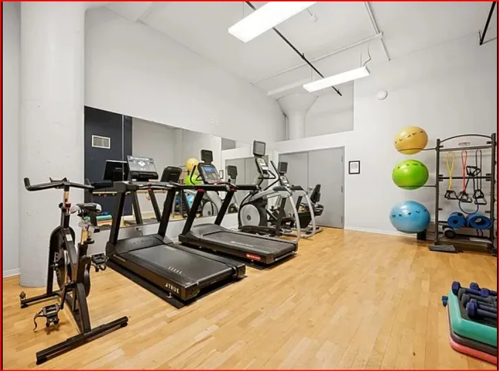 1224 W Van Buren St 60607-Van Buren Lofts-Chicago-IL