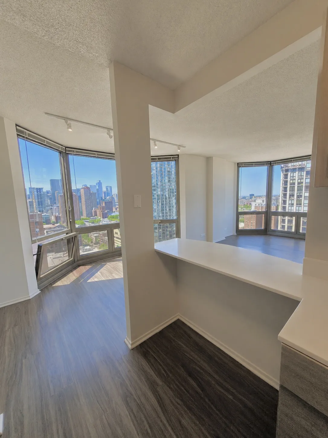 1130 N Dearborn St   60610 60610-unit#1605-Chicago-IL