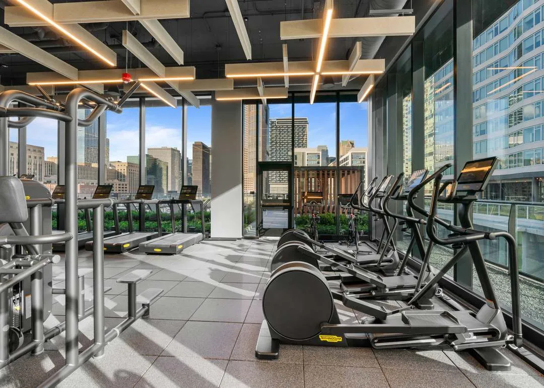 234 W Polk St   60607 60607-The Reed-unit#3111-Chicago-IL