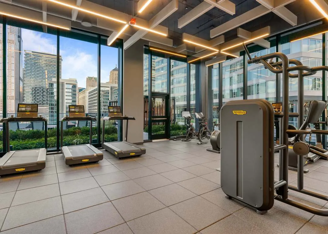 234 W Polk St   60607 60607-The Reed-unit#3111-Chicago-IL