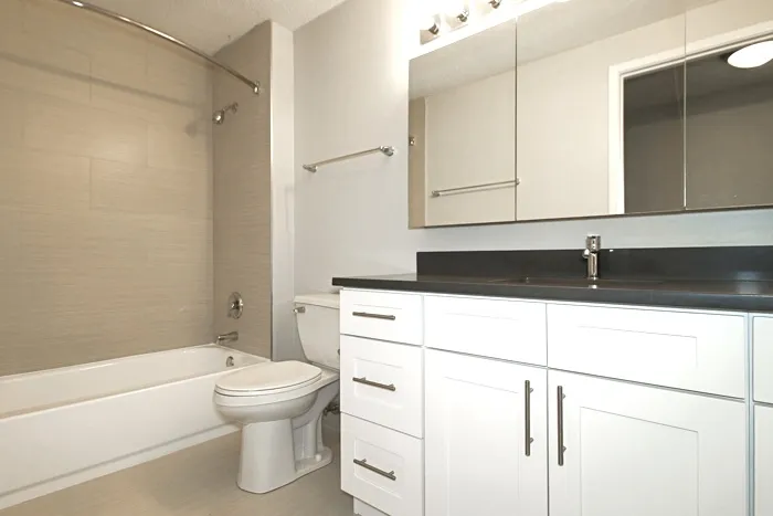 540 N Dearborn St 60610 60610-unit#1311-Chicago-IL