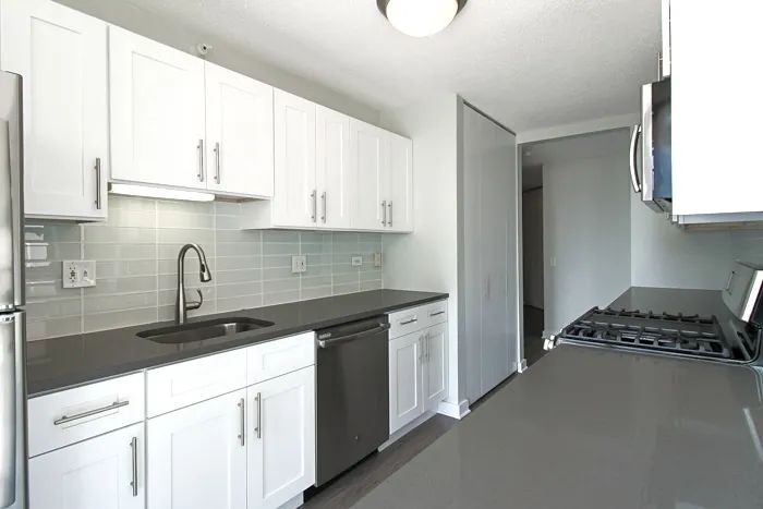 540 N Dearborn St 60610 60610-unit#1311-Chicago-IL