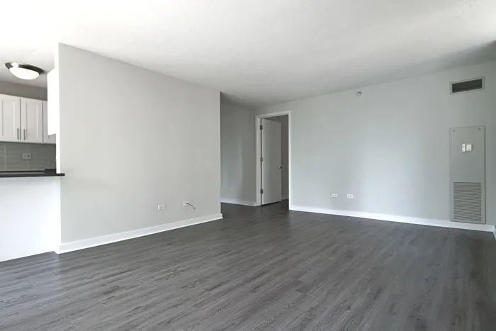 540 N Dearborn St 60610 60610-unit#1311-Chicago-IL