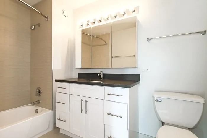 540 N Dearborn St 60610 60610-unit#1311-Chicago-IL