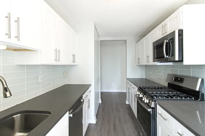 540 N Dearborn St 60610 60610-unit#1311-Chicago-IL