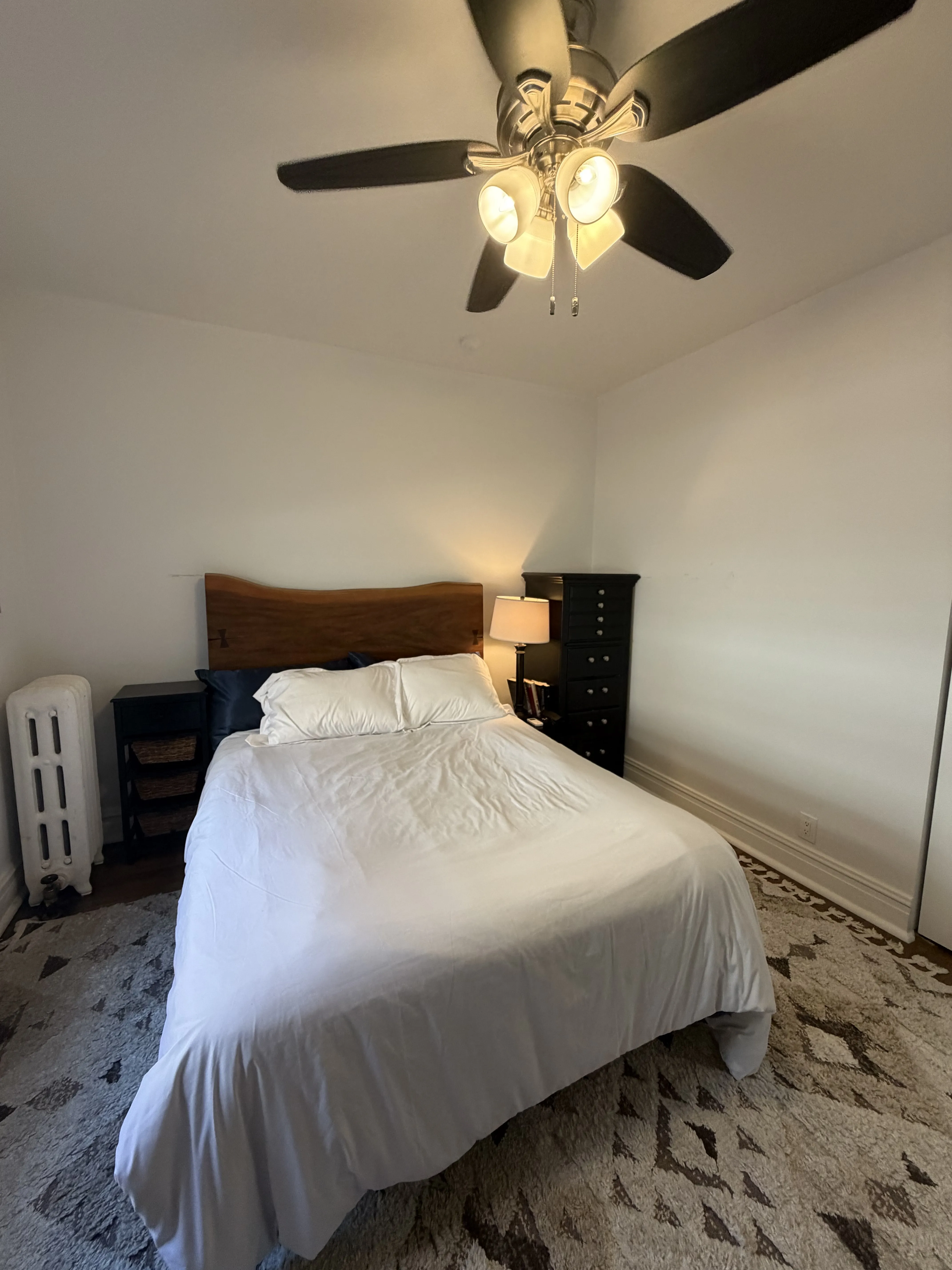 541 W Brompton Ave   60657 60657-unit#3N-Chicago-IL
