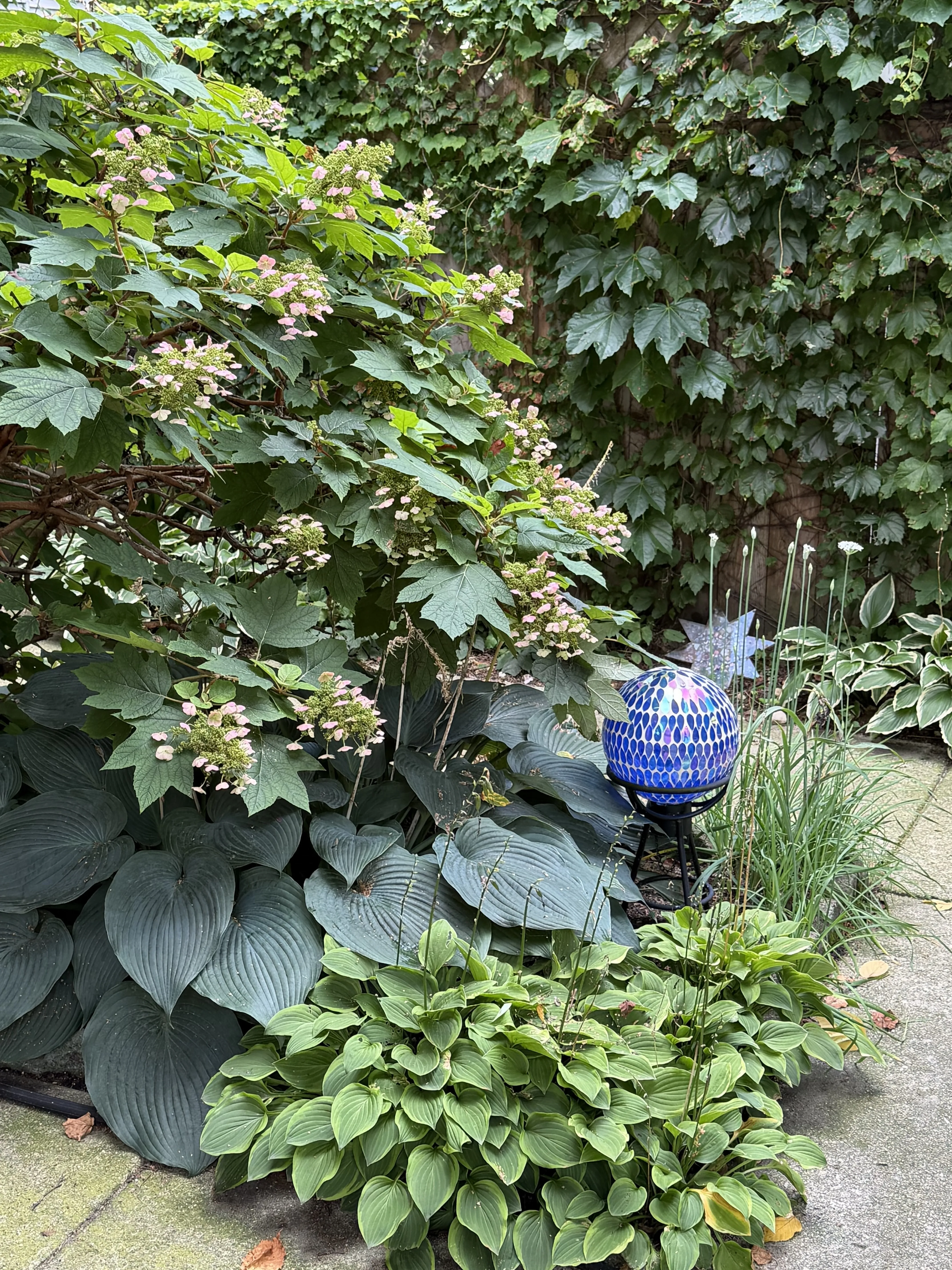 1434 - 36 west Warner Avenue 60613-unit#Garden-Chicago-IL