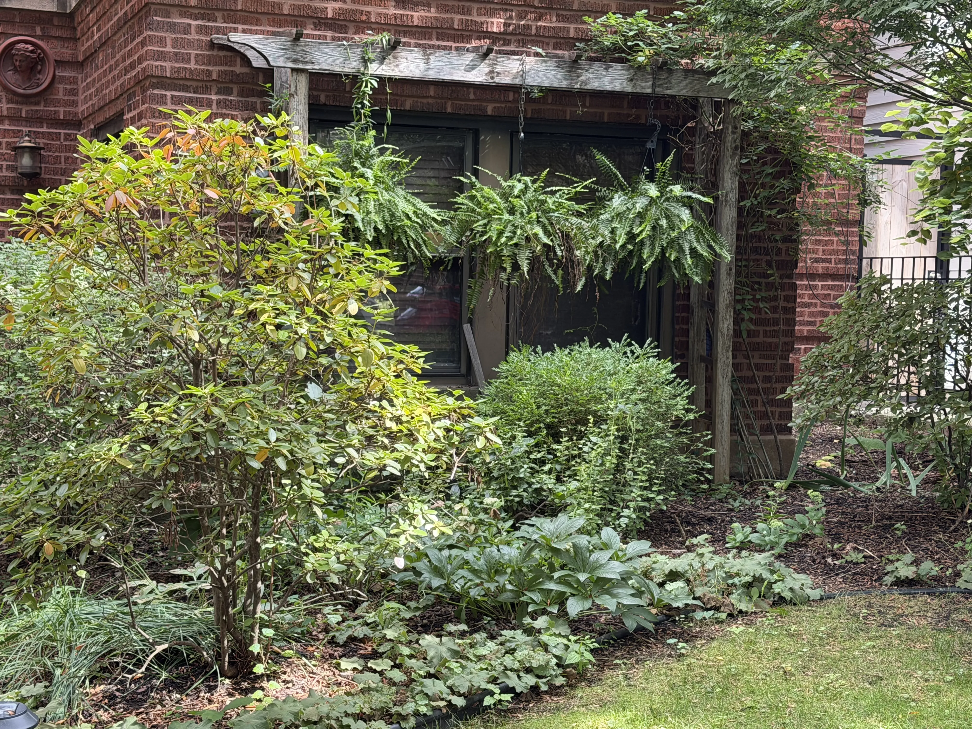 1434 - 36 west Warner Avenue 60613-unit#Garden-Chicago-IL