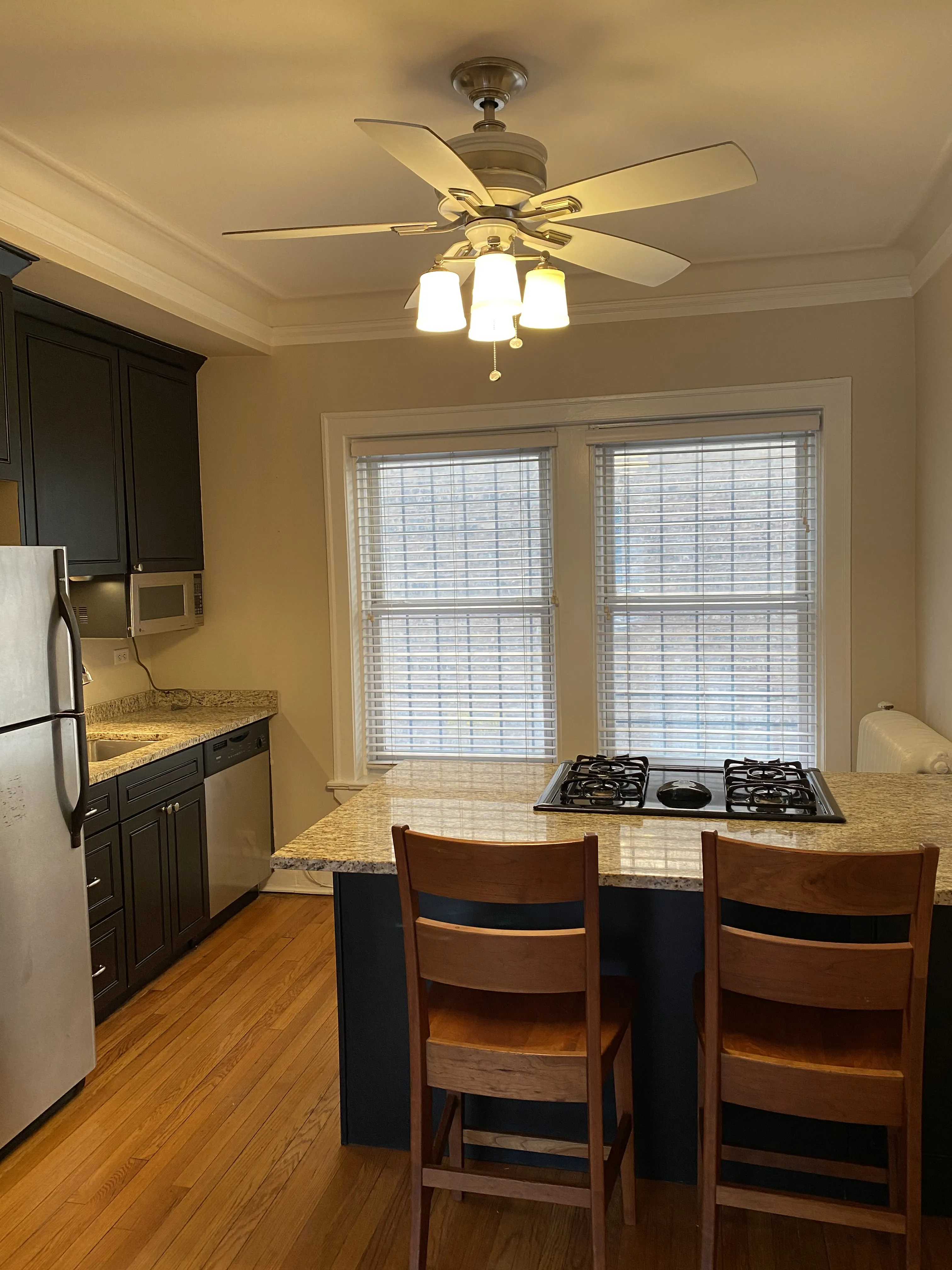 538 W Brompton Ave   60657 60657-Chicago-IL