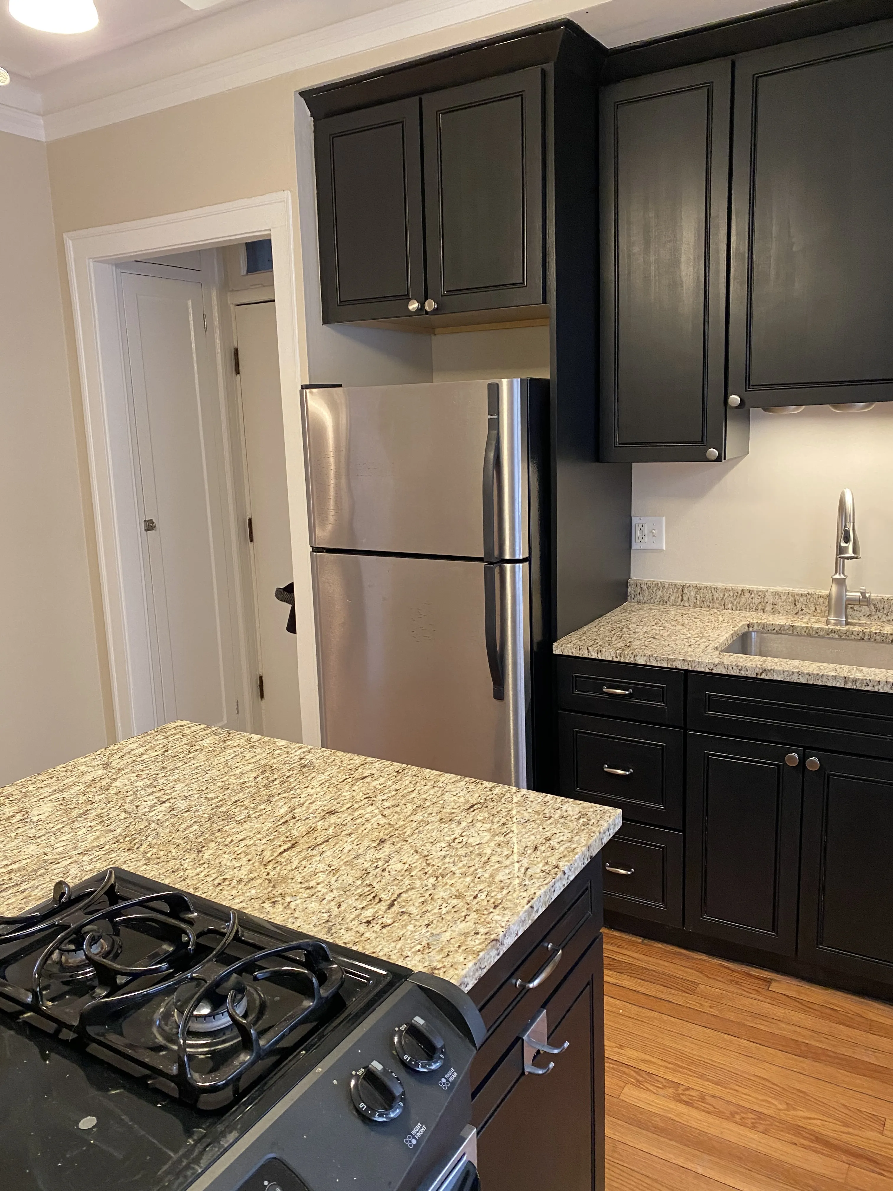 538 W Brompton Ave   60657 60657-Chicago-IL