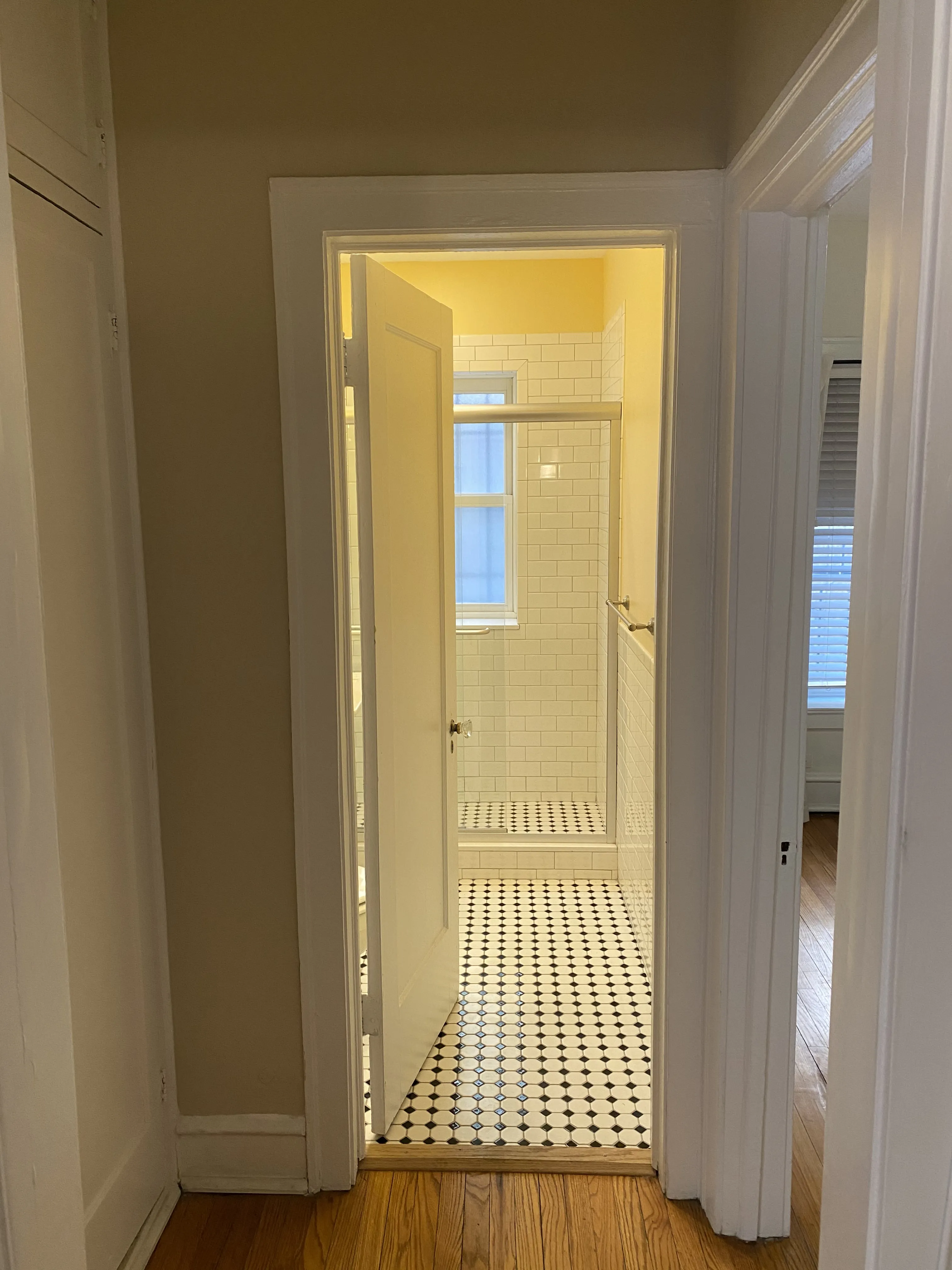 538 W Brompton Ave   60657 60657-Chicago-IL