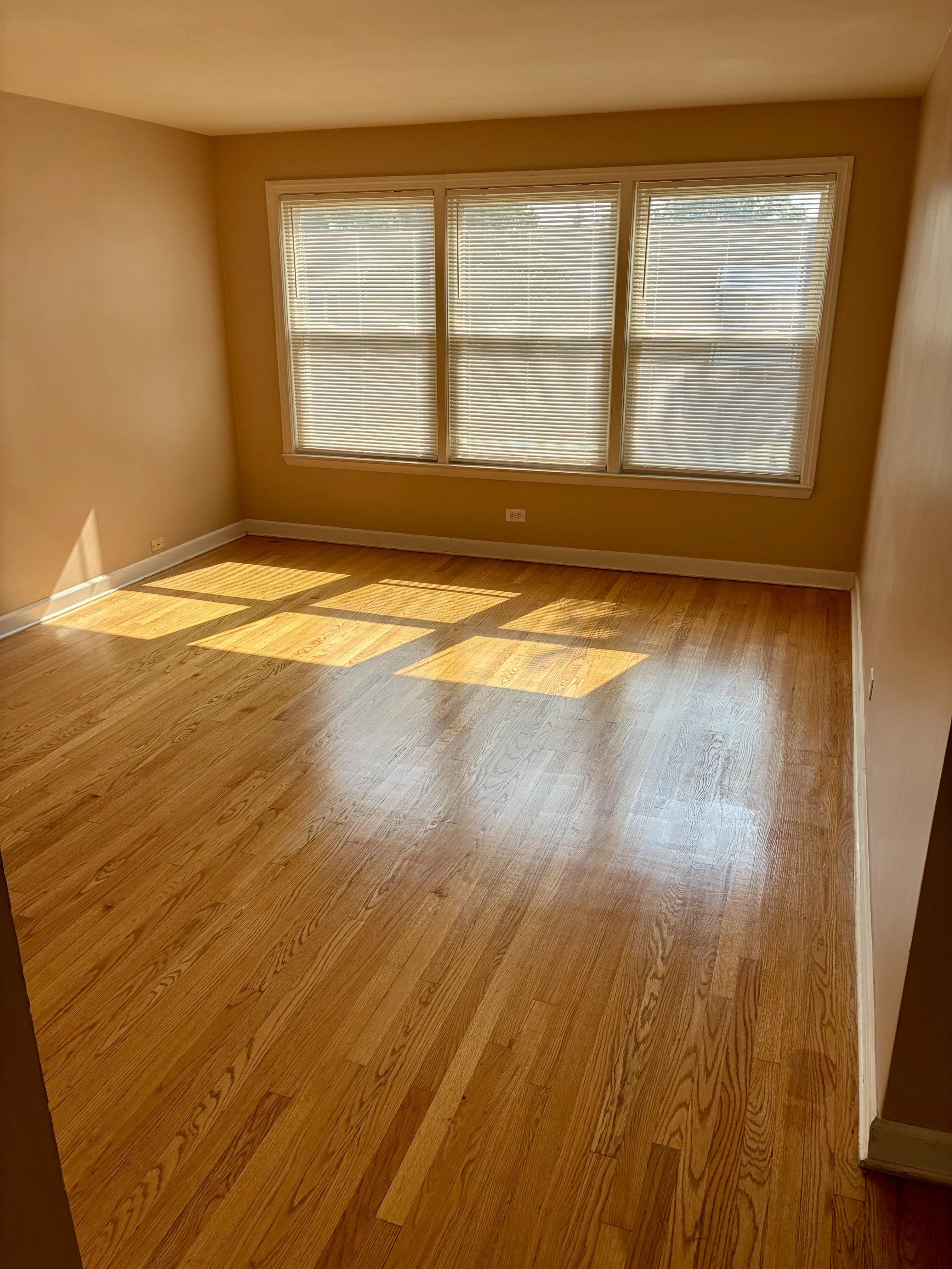 8930 Bronx Ave 60077 60077-Skokie-IL