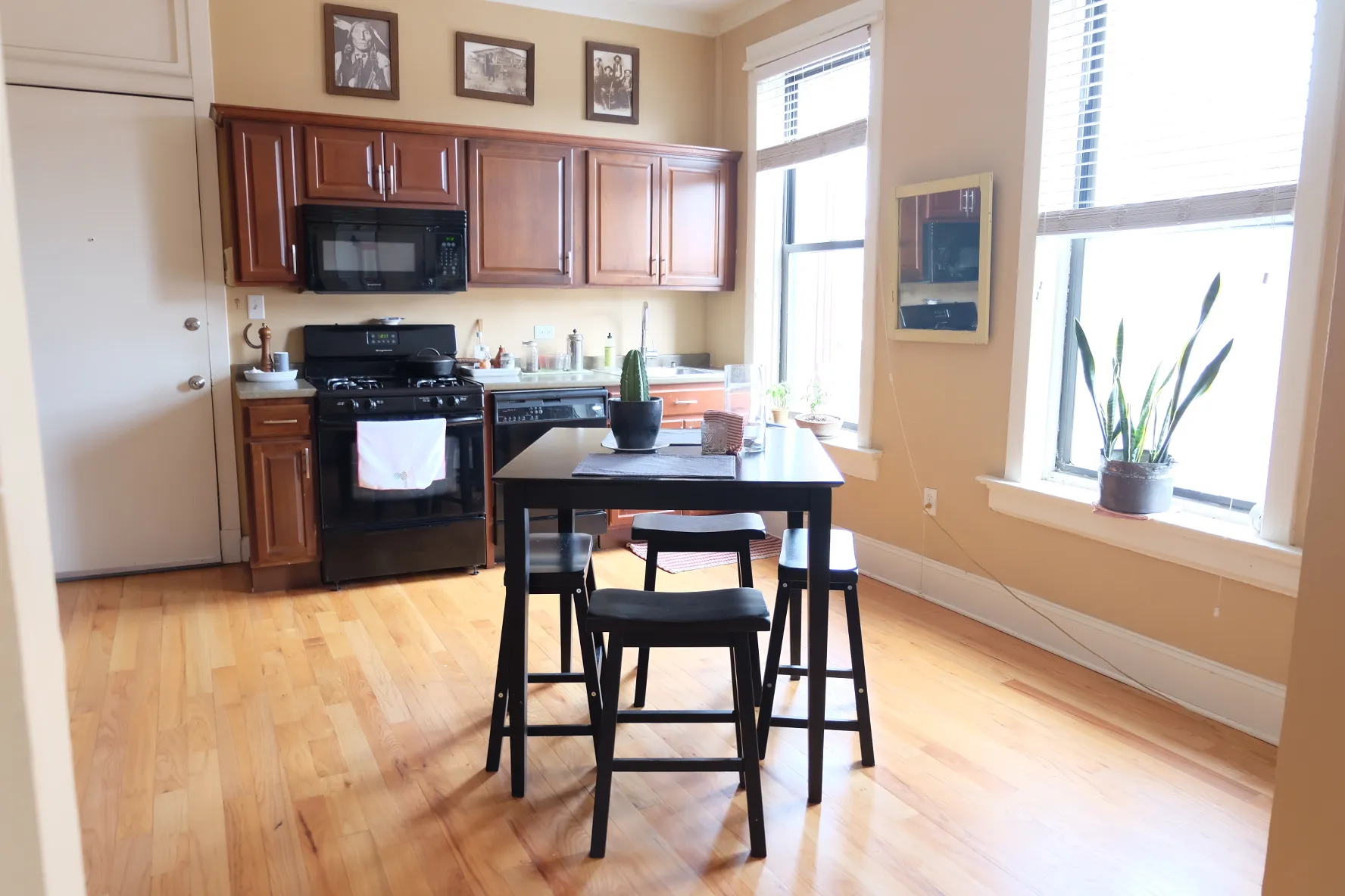 2008 N Seminary Ave   60614 60614-unit#3M-Chicago-IL