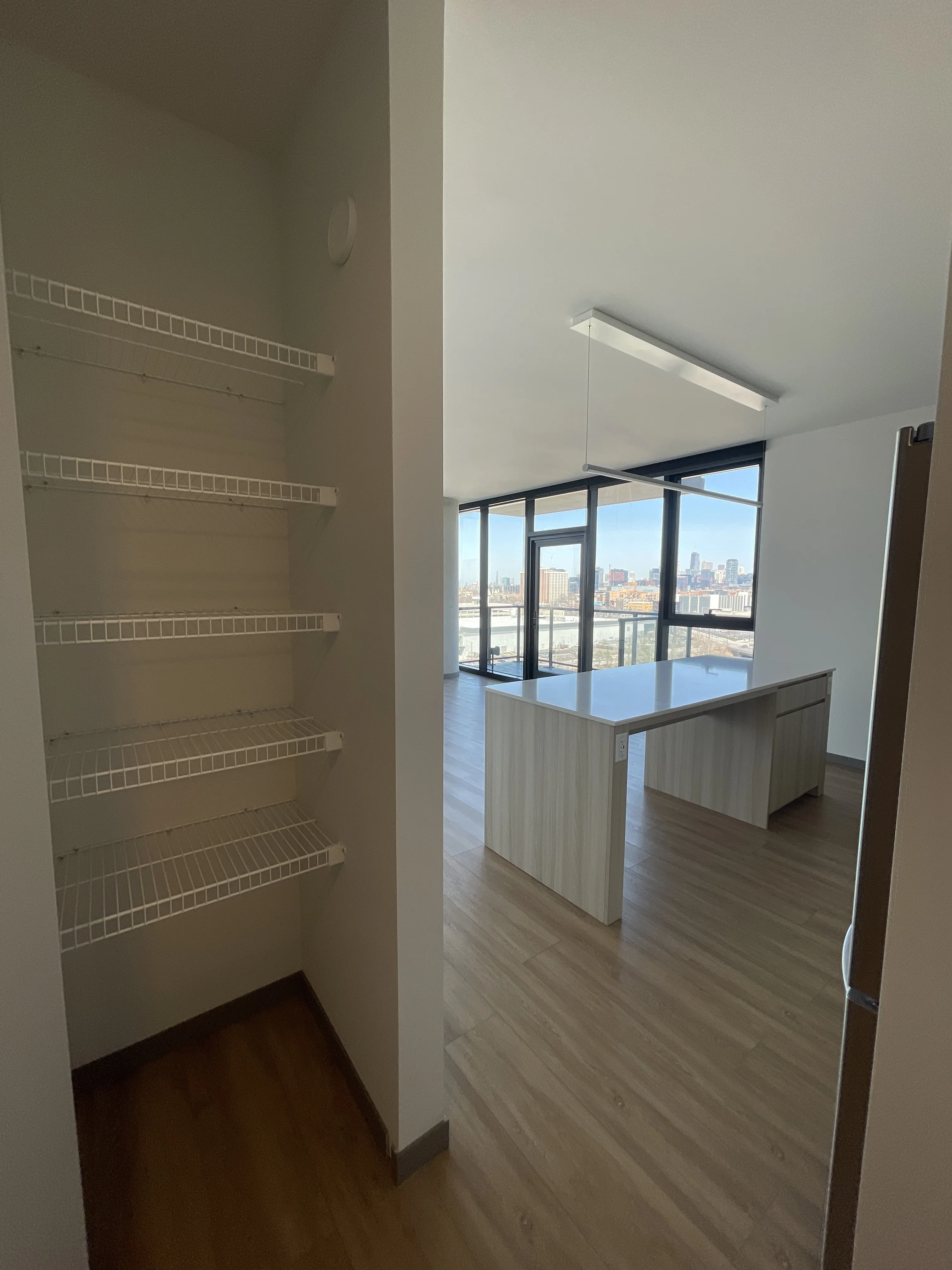 513 S Damen Ave 60612 60612-unit#1301-Chicago-IL