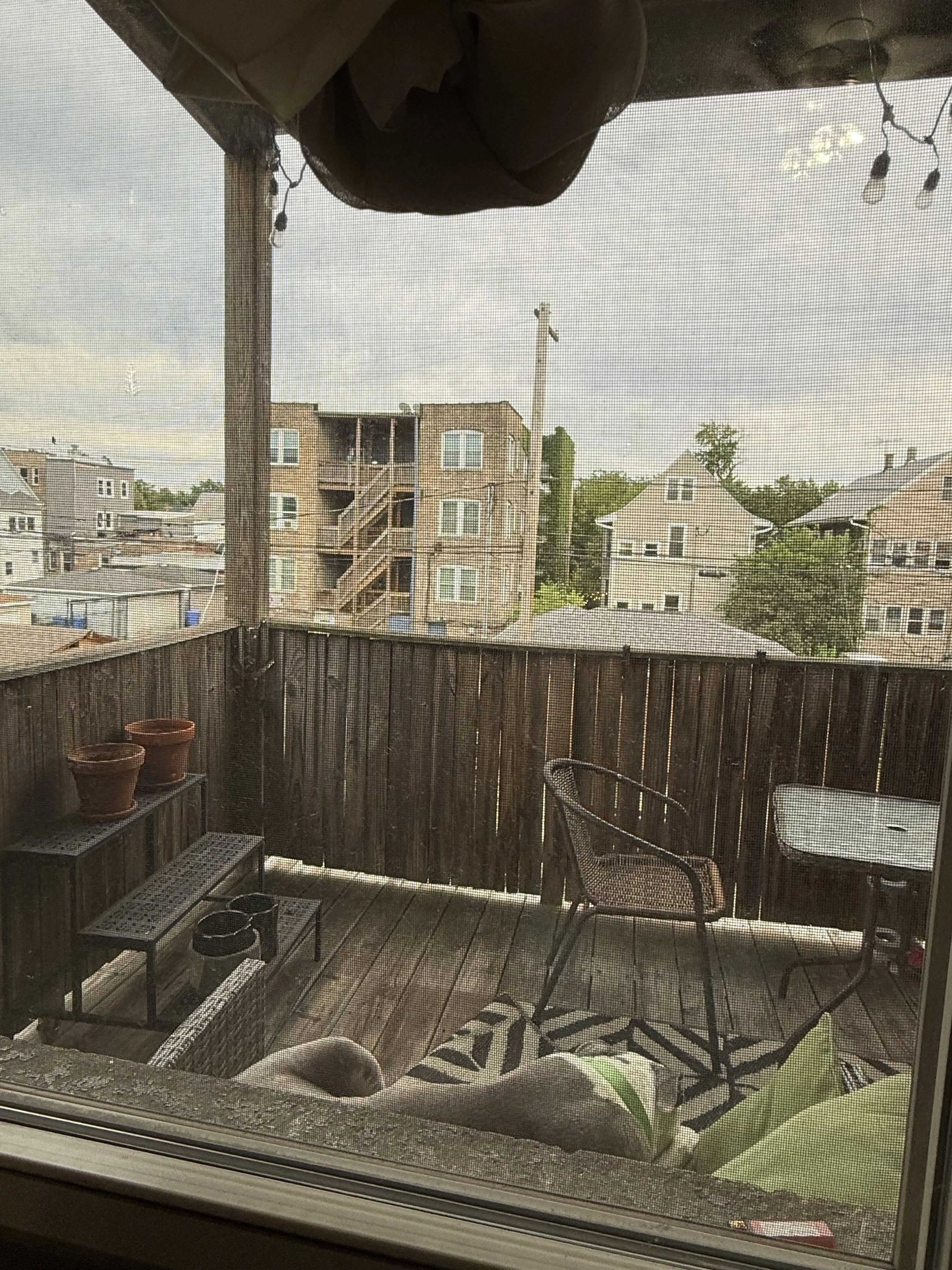 3423 W Lyndale St 60647 60647-unit#2-Chicago-IL