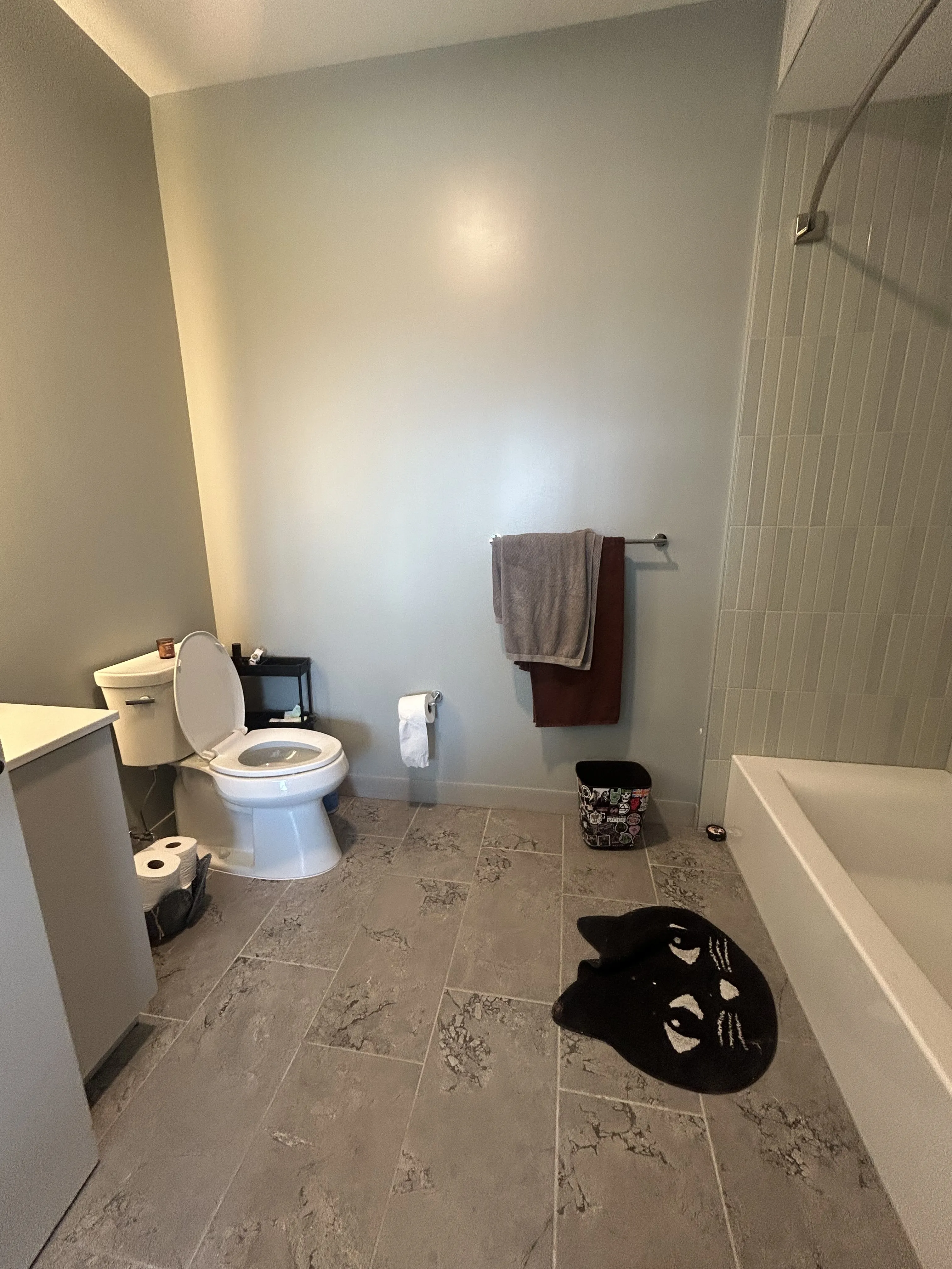 1101 W Van Buren St 60607-Coppia-unit#712-Chicago-IL