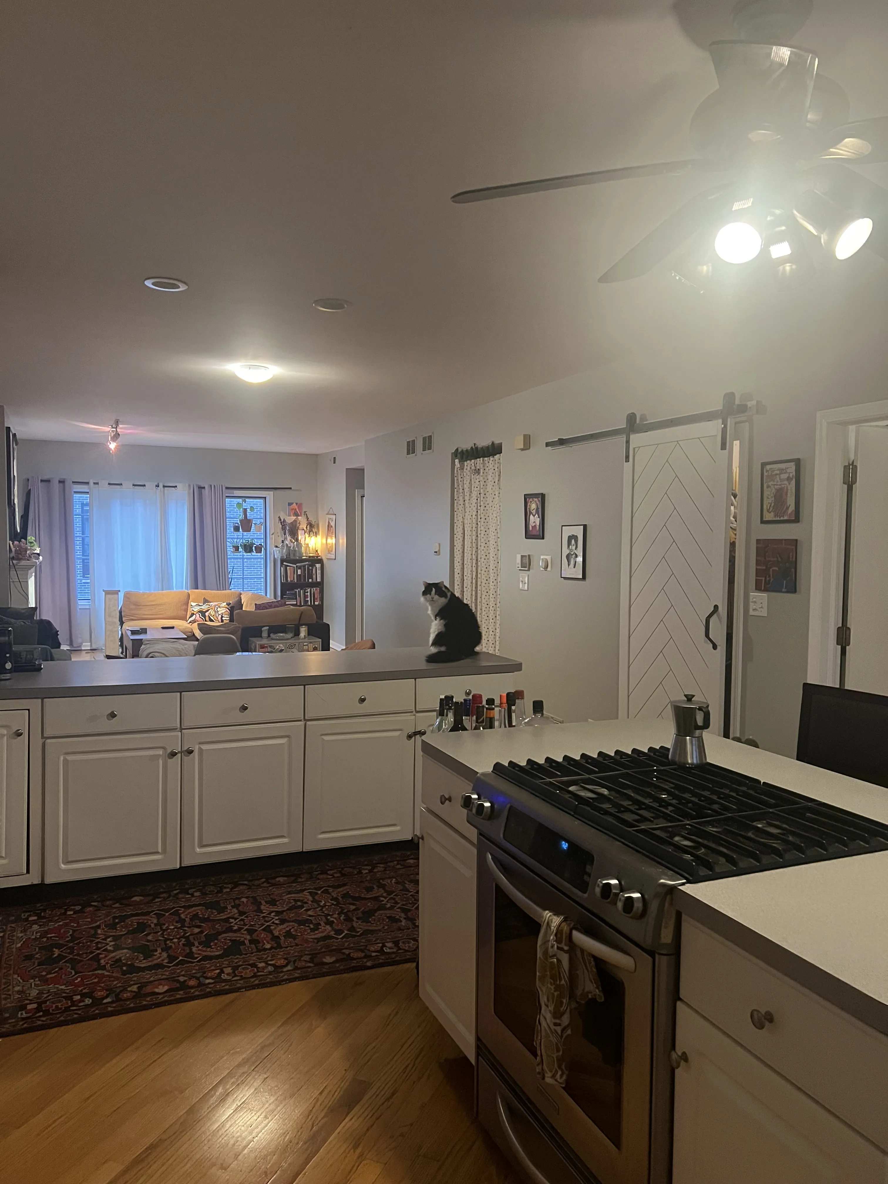 1532 W Fry St 60642 60642-unit#2-Chicago-IL