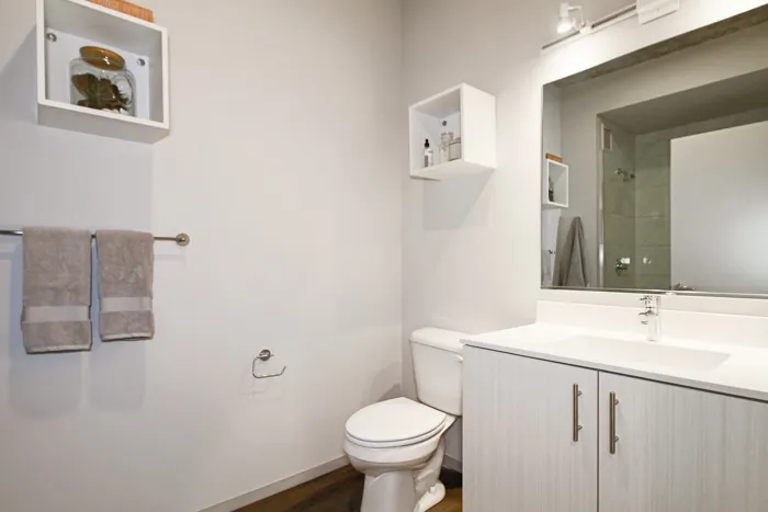 717 S Clark St 60605 60605-unit#2513-Chicago-IL