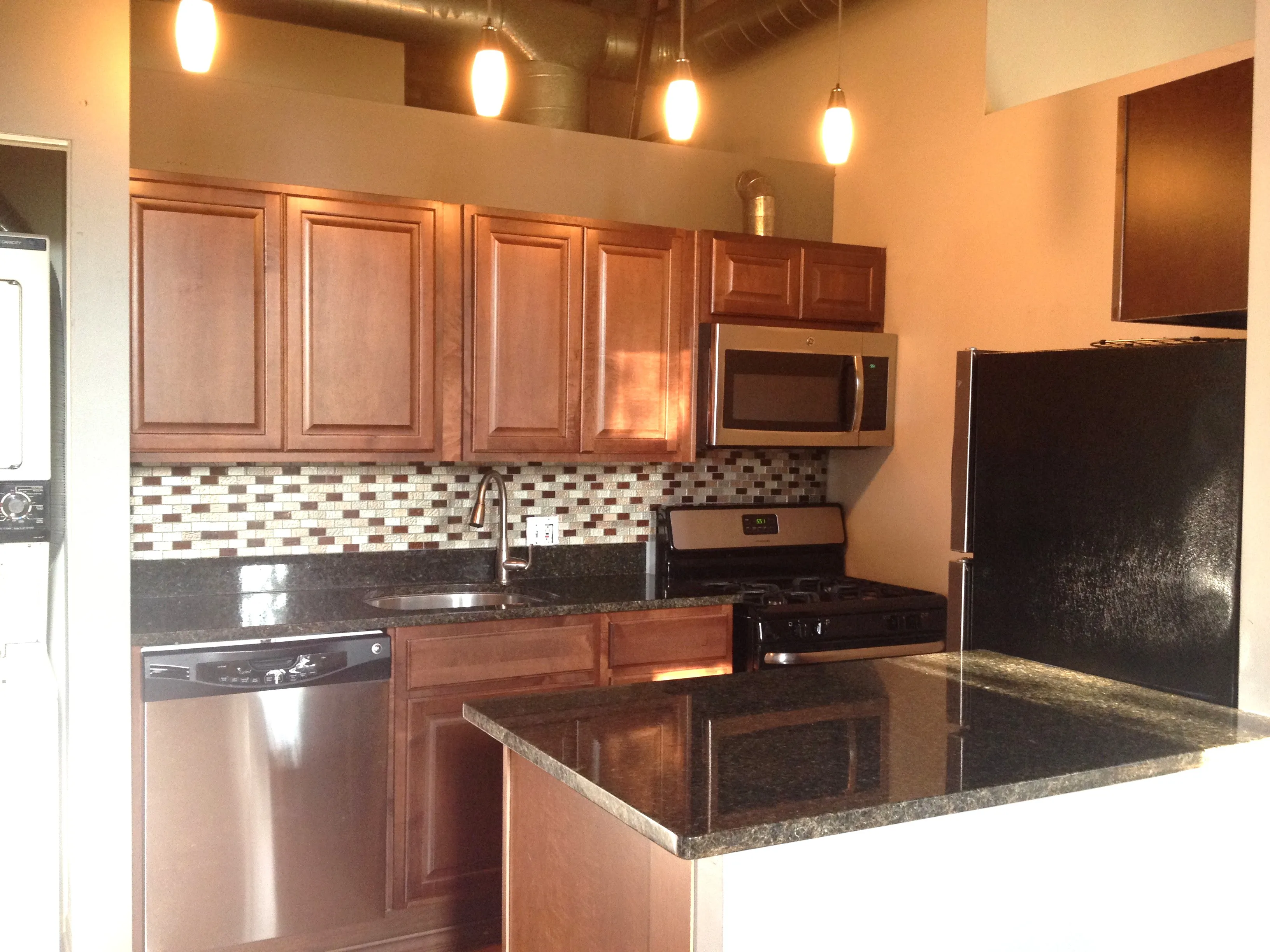 3201 N Seminary Ave 60657 60657-Lakeview Lofts-unit#211-Chicago-IL