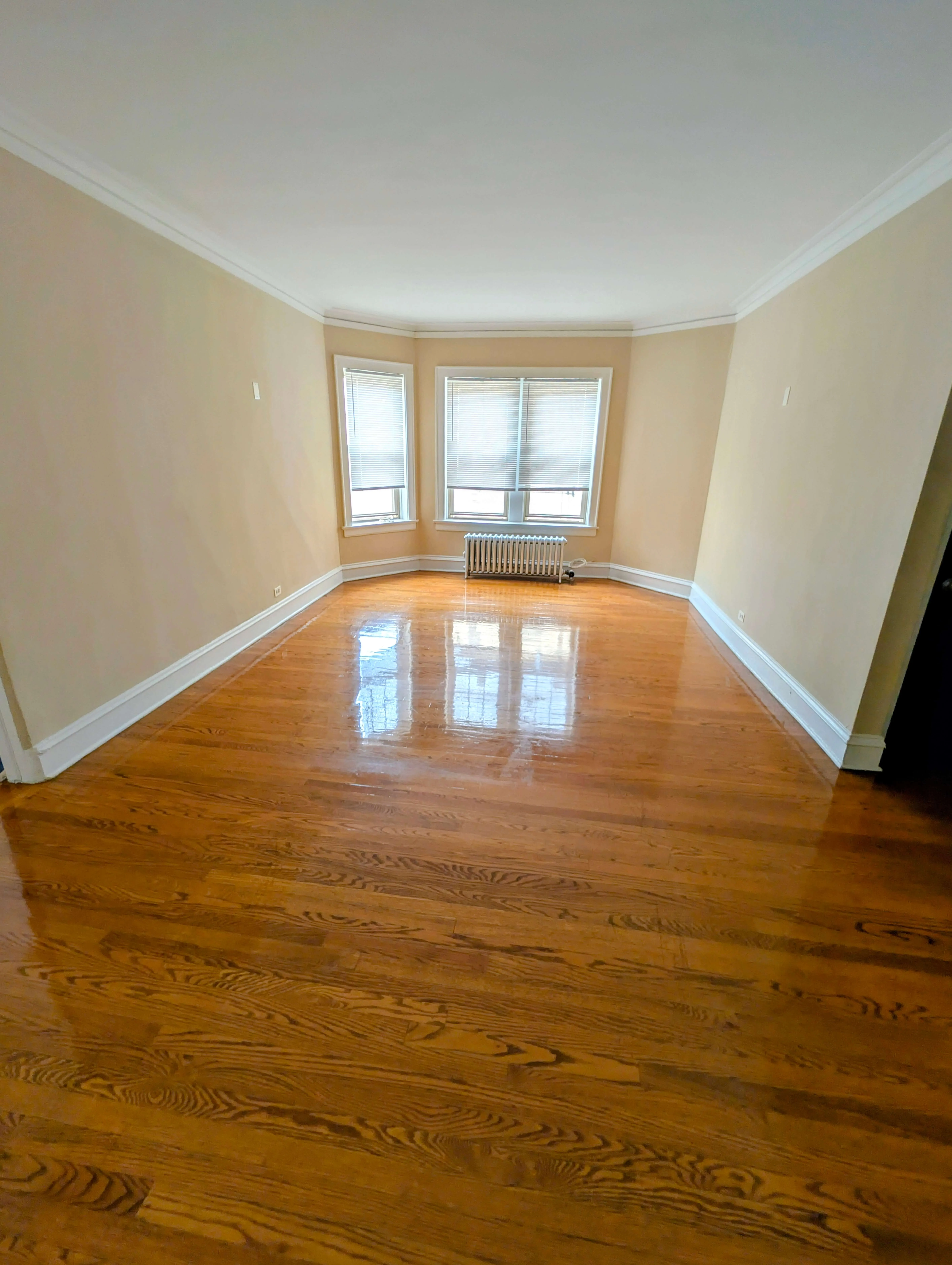 6703 N Greenview Ave   60626 60626-Chicago-IL