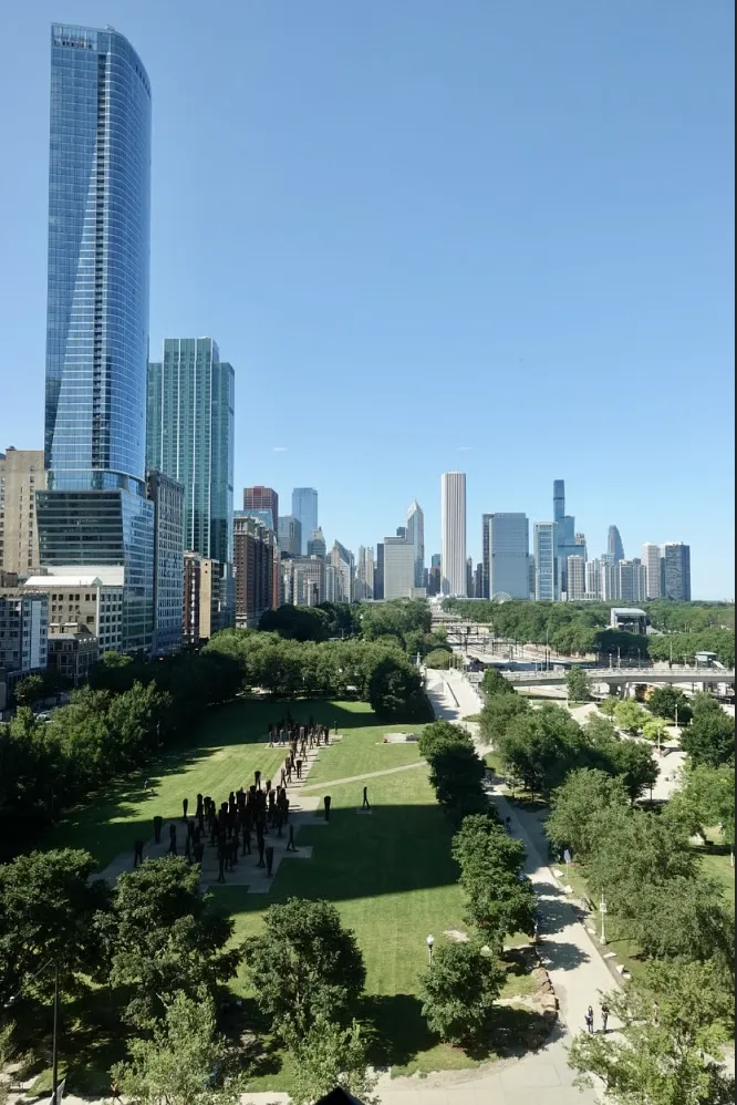 1210 S Indiana Ave   60605 60605-Nema-unit#806-Chicago-IL