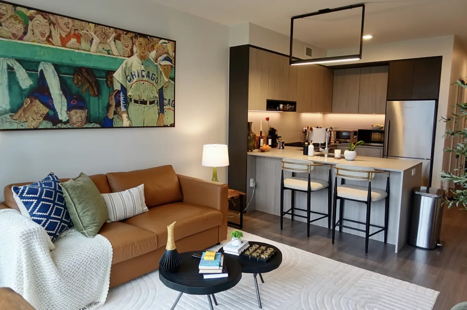 1210 S Indiana Ave   60605 60605-Nema-unit#806-Chicago-IL