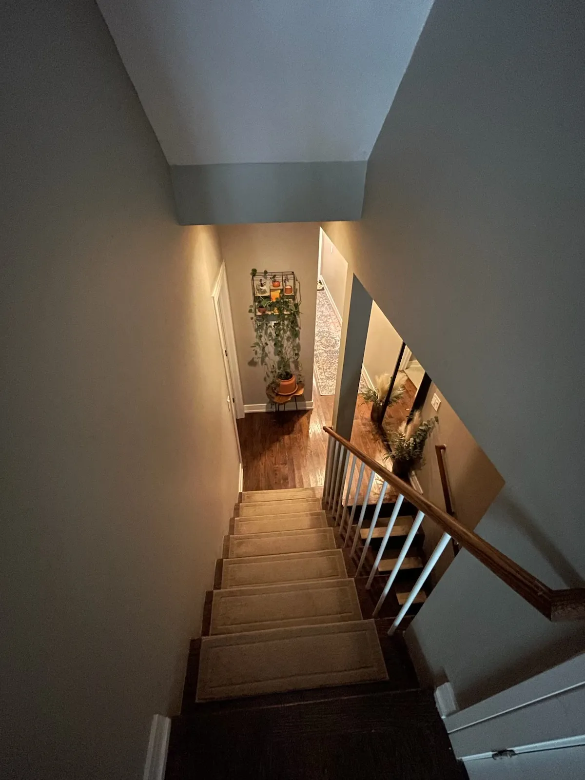 3514 N Sacramento Ave 60618 60618-Chicago-IL