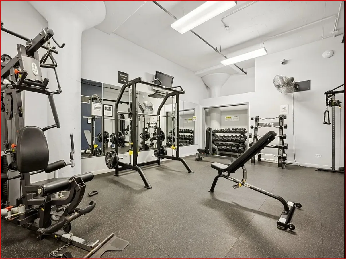 1224 W Van Buren St 60607-Van Buren Lofts-Chicago-IL