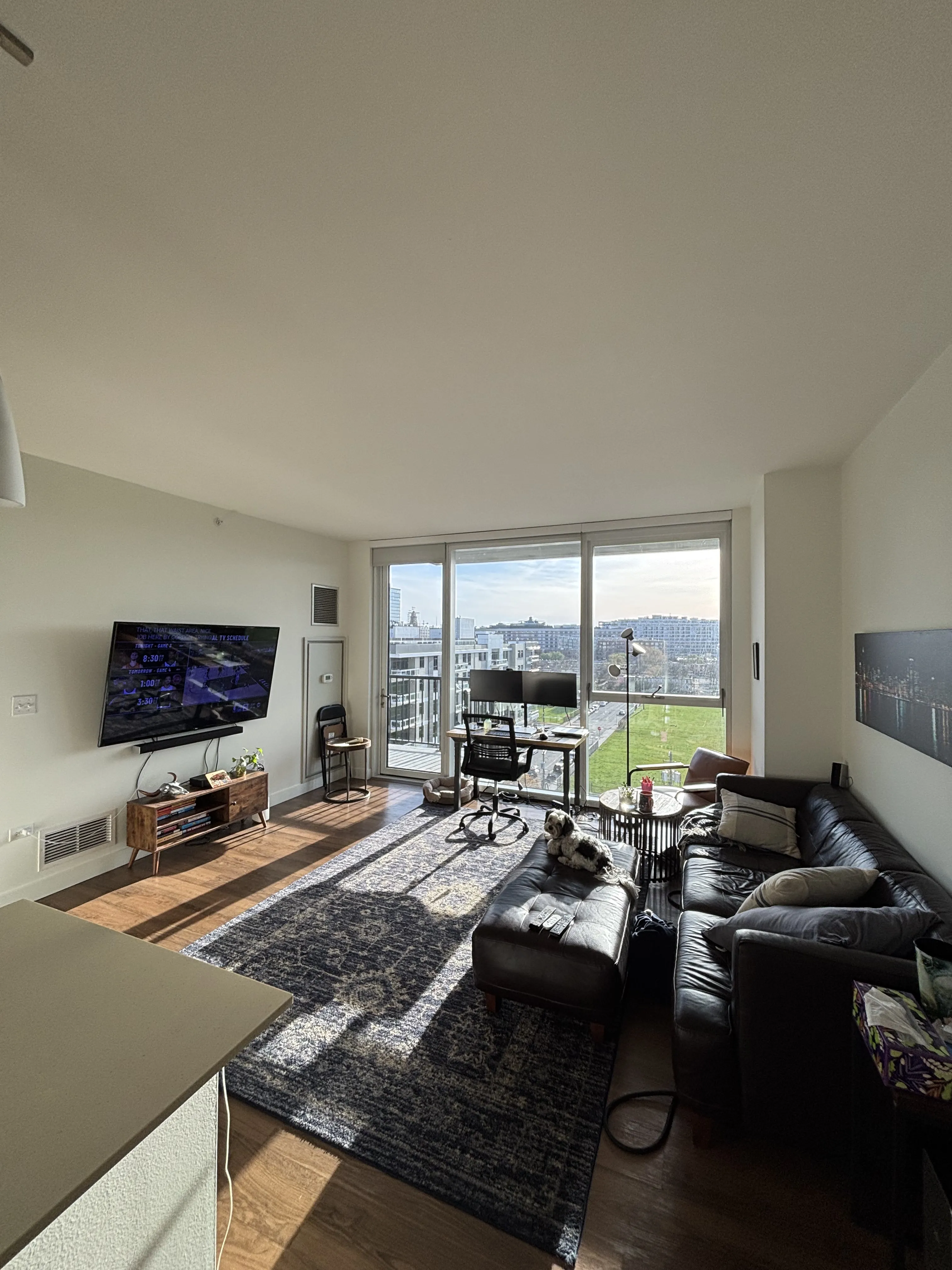 905 N Orleans St 60610 60610-Niche 905-unit#815-Chicago-IL