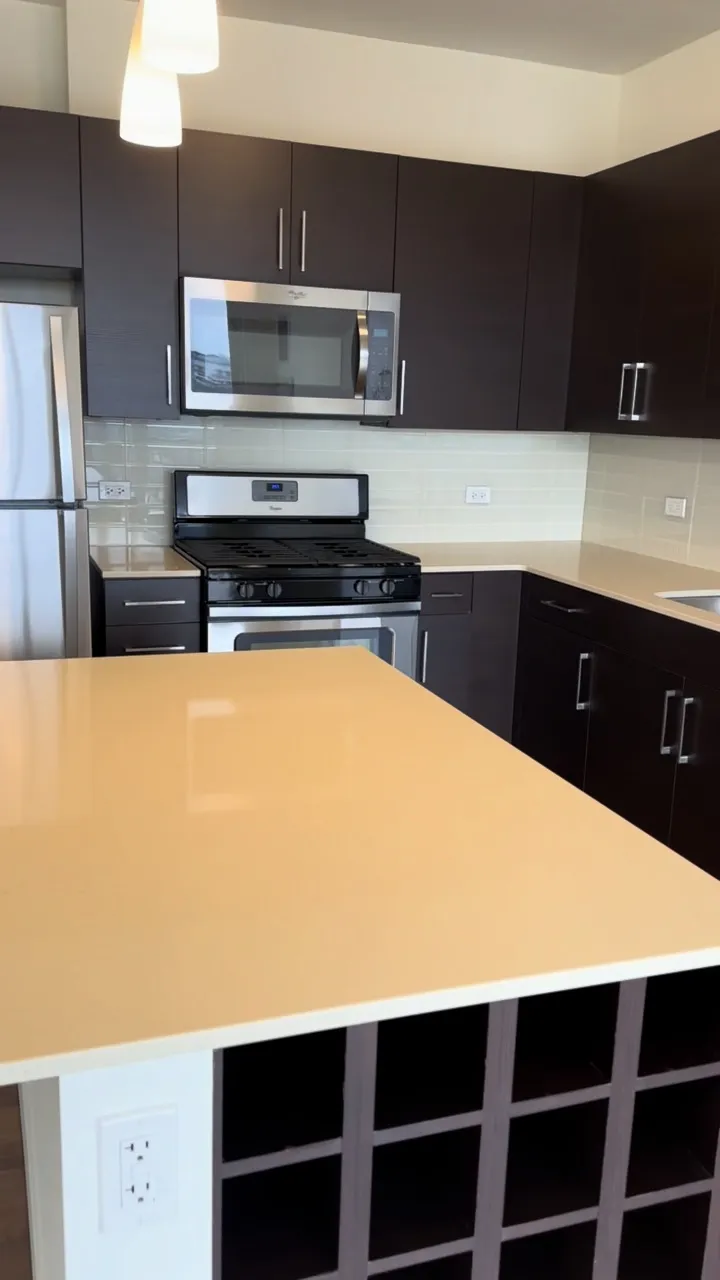 905 N Orleans St 60610 60610-Niche 905-unit#815-Chicago-IL
