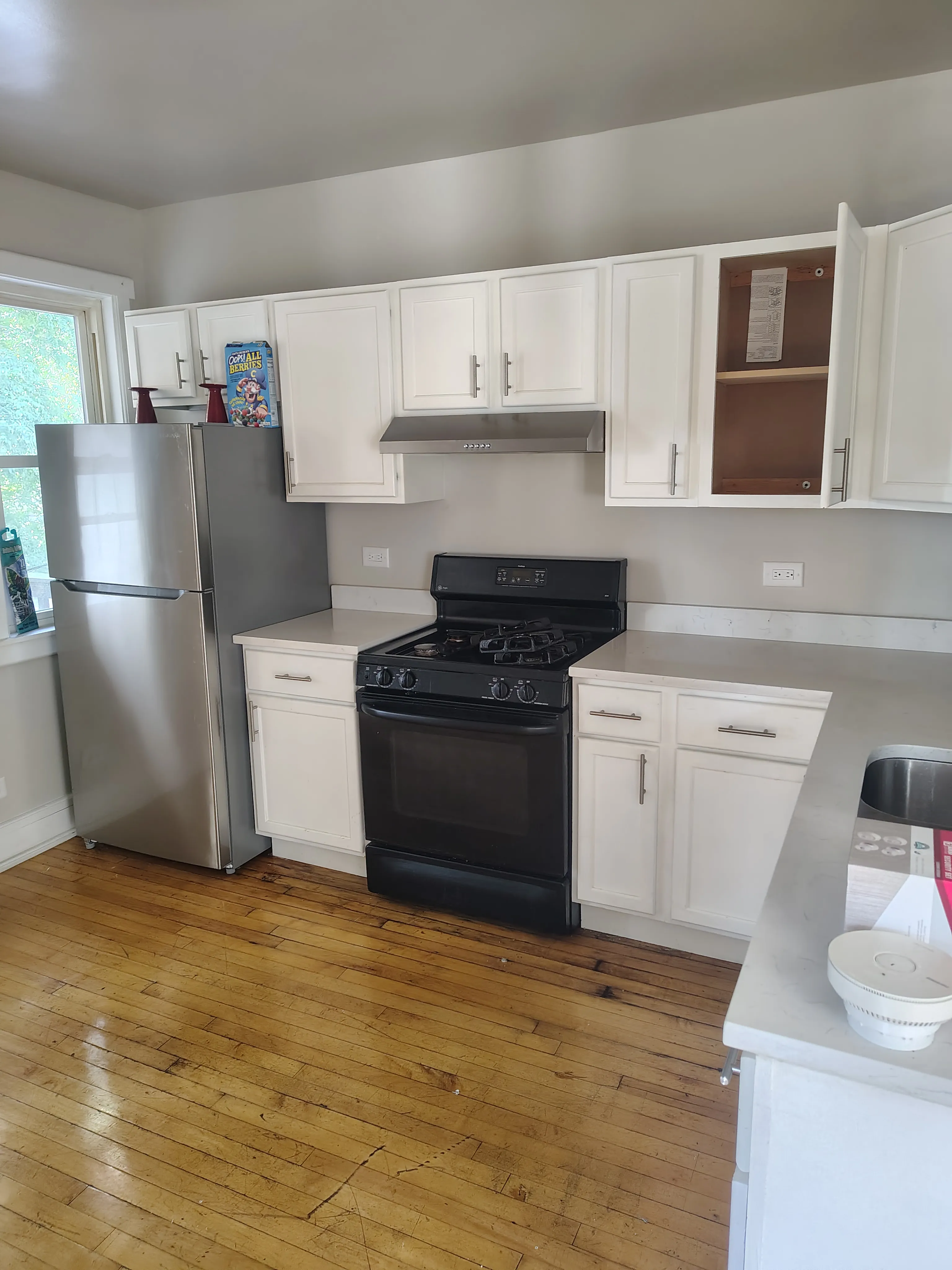 930 N Springfield Ave 60651 60651-Nathan-unit#2-Chicago-IL