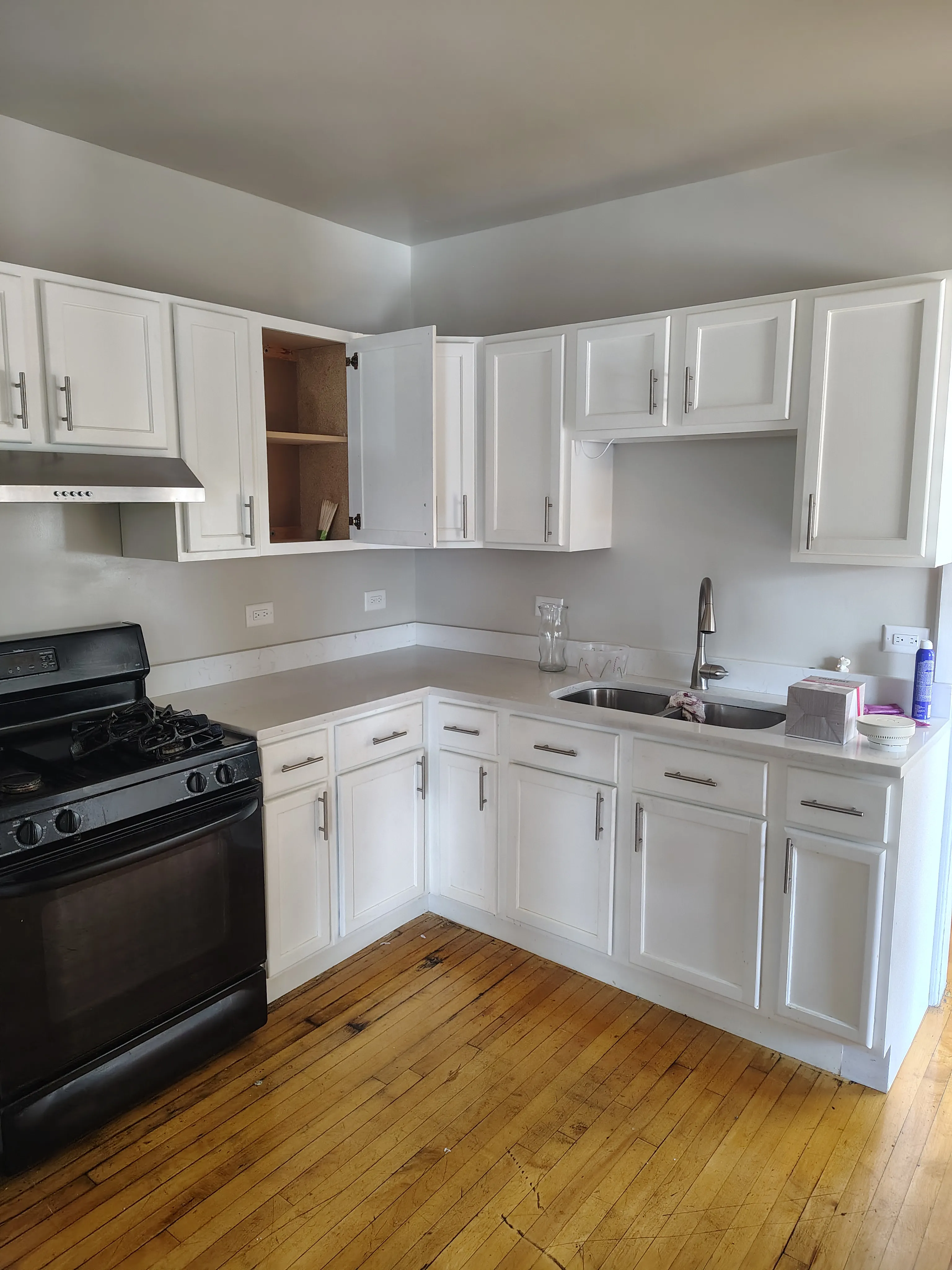 930 N Springfield Ave 60651 60651-Nathan-unit#2-Chicago-IL