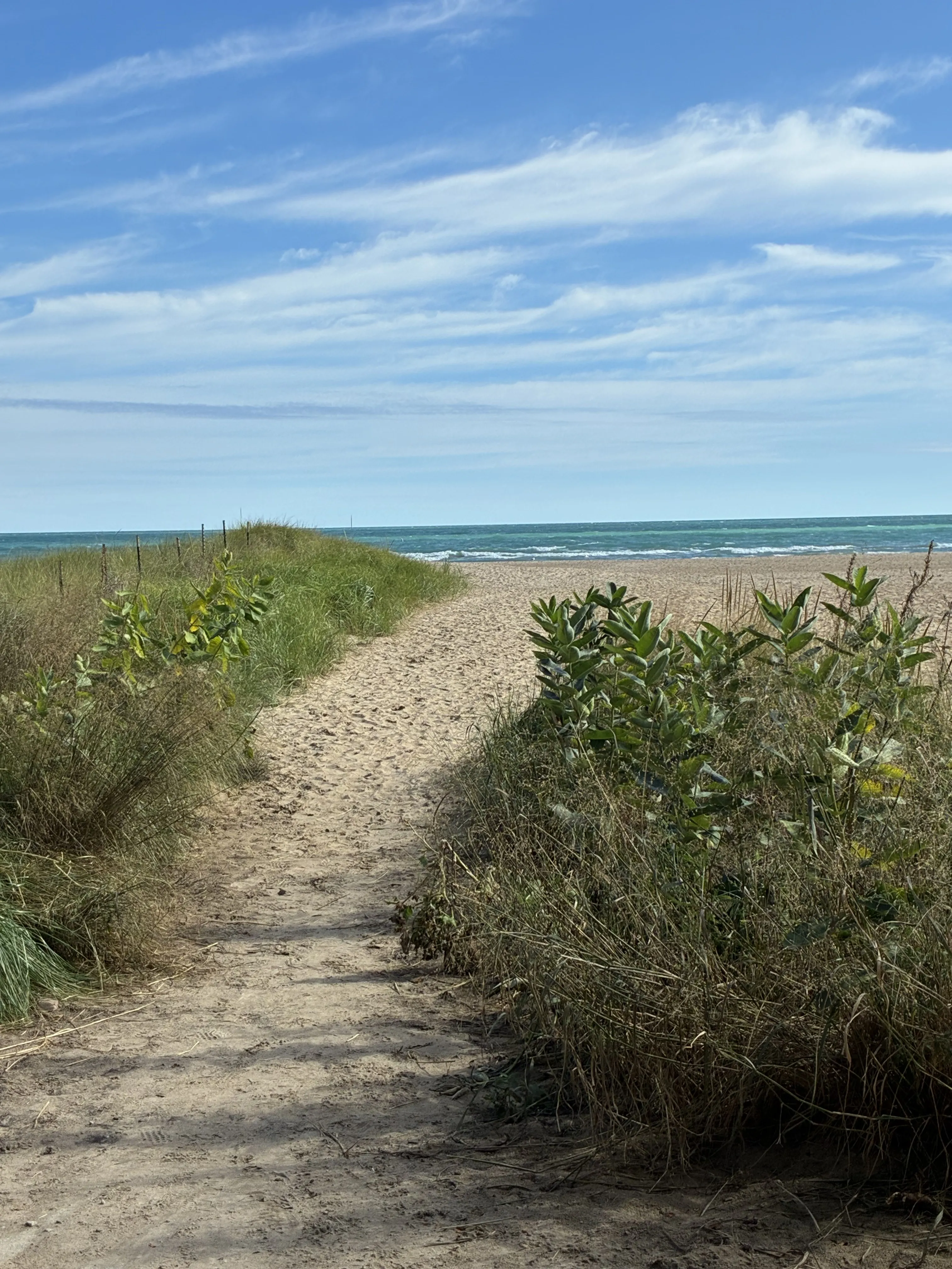 5801 N Sheridan Rd   60660 60660-Beach Point Tower-unit#16E-Chicago-IL